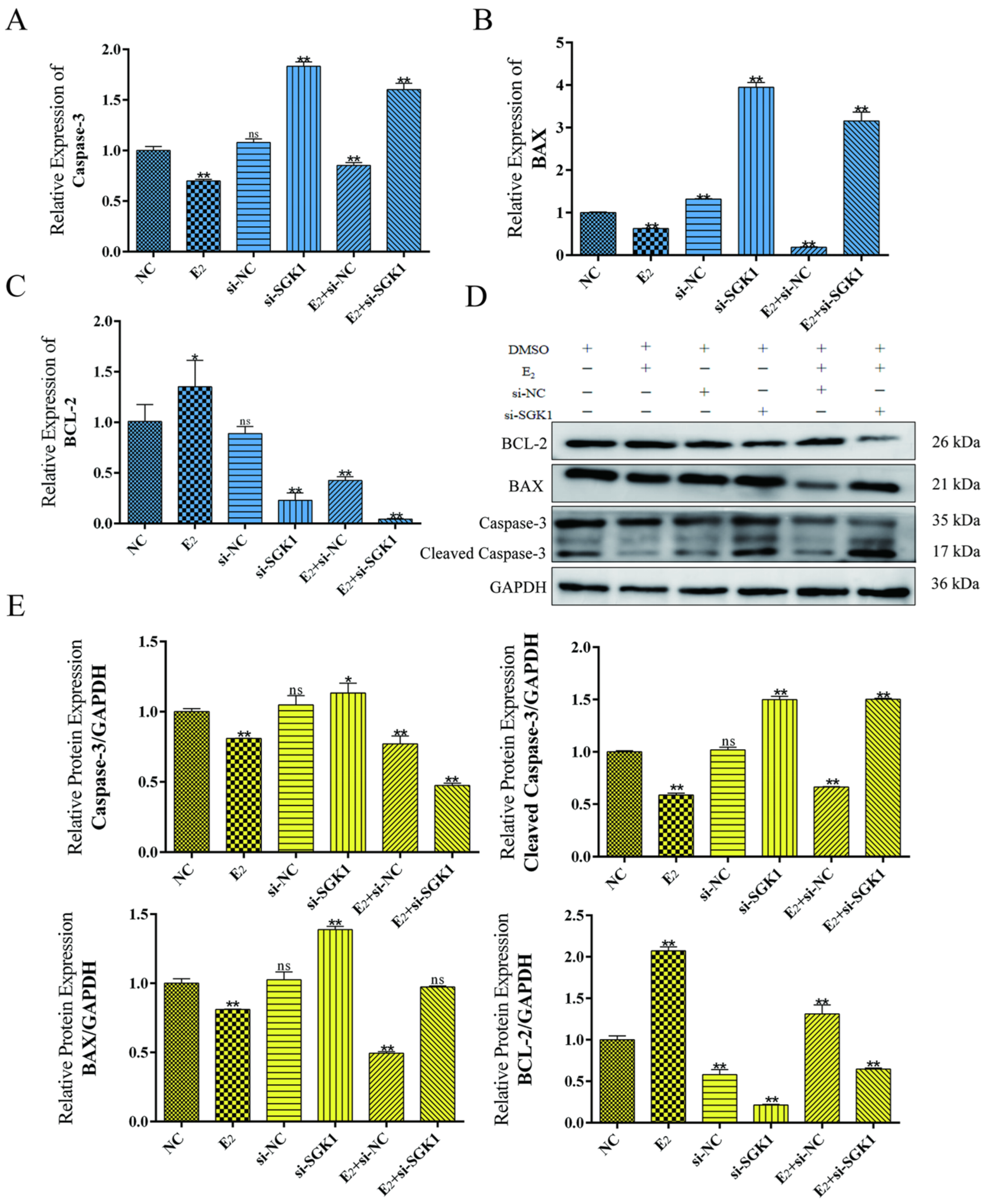 Cells 15 00558 g008