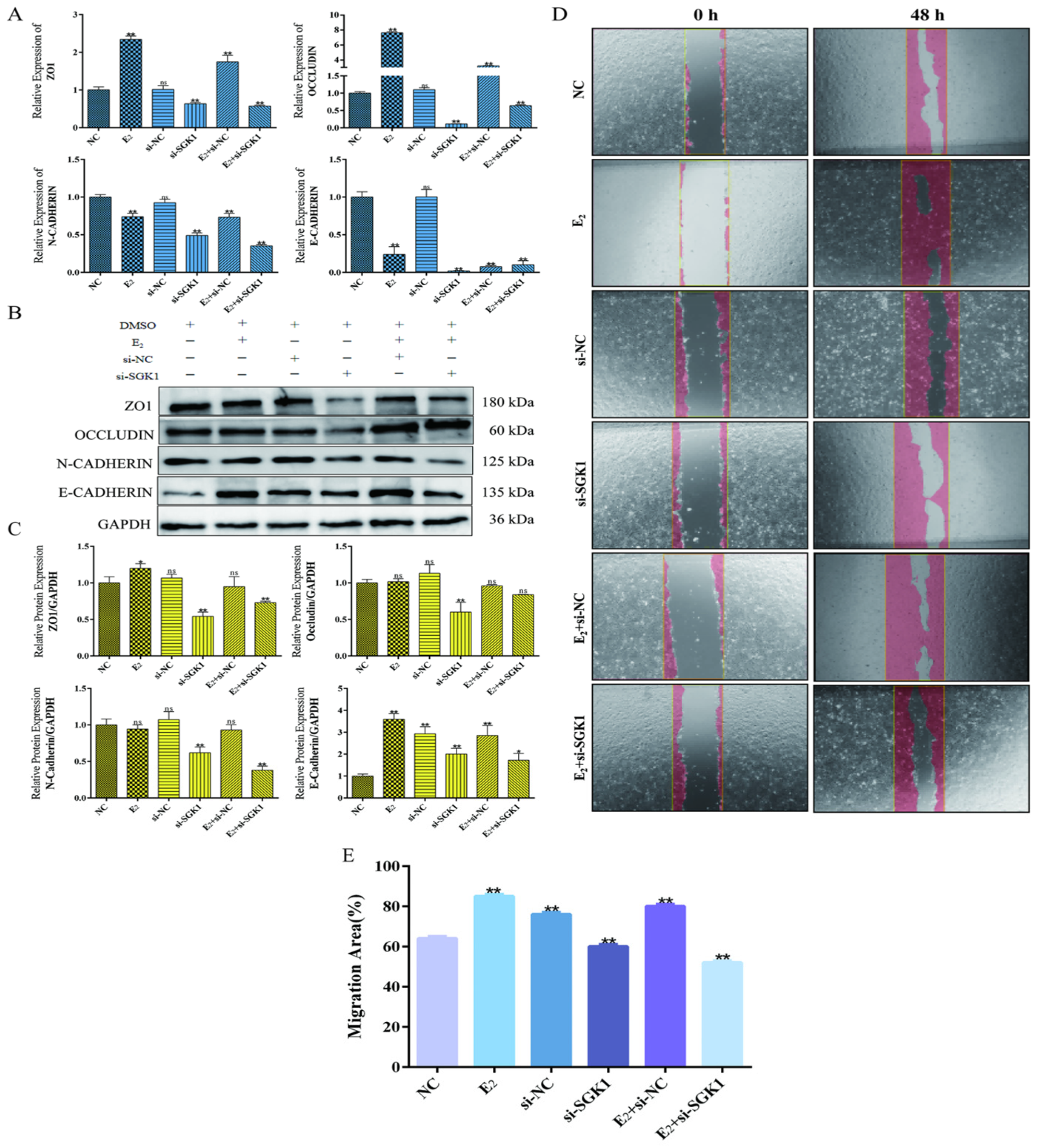 Cells 15 00558 g009