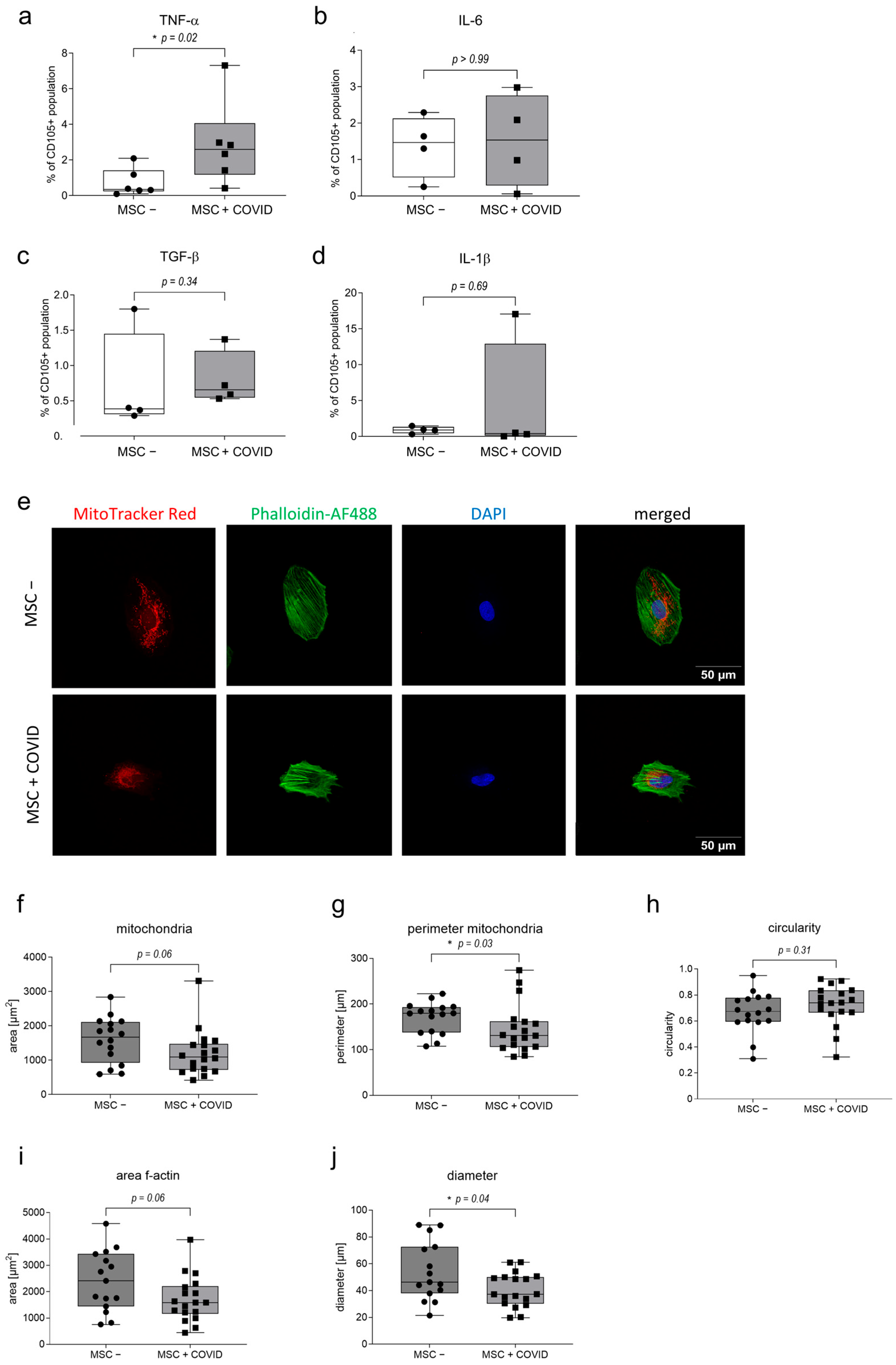 Cells 15 00592 g002 Cells 15 00592 g002