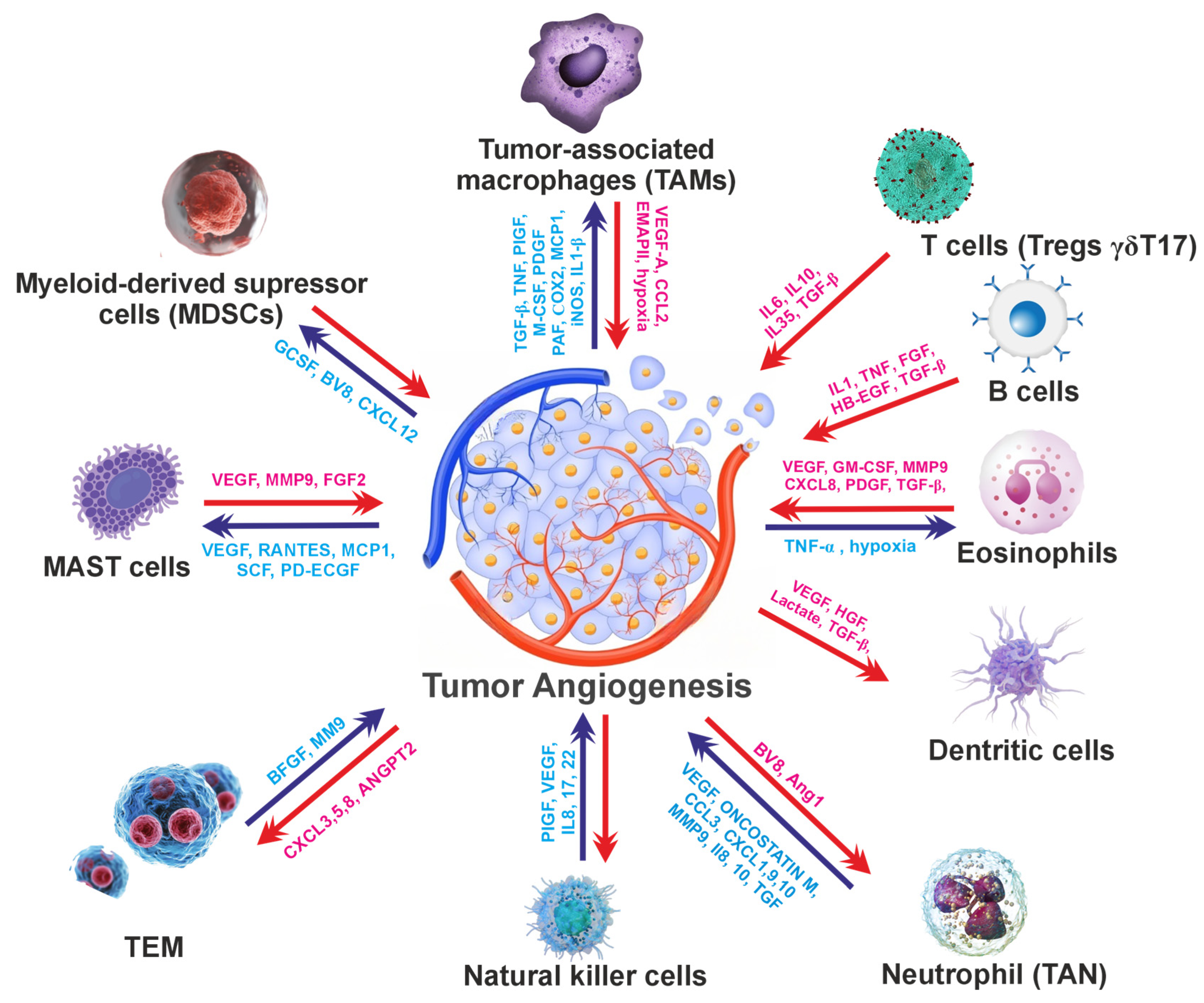 Cells 15 00623 g001 Cells 15 00623 g001