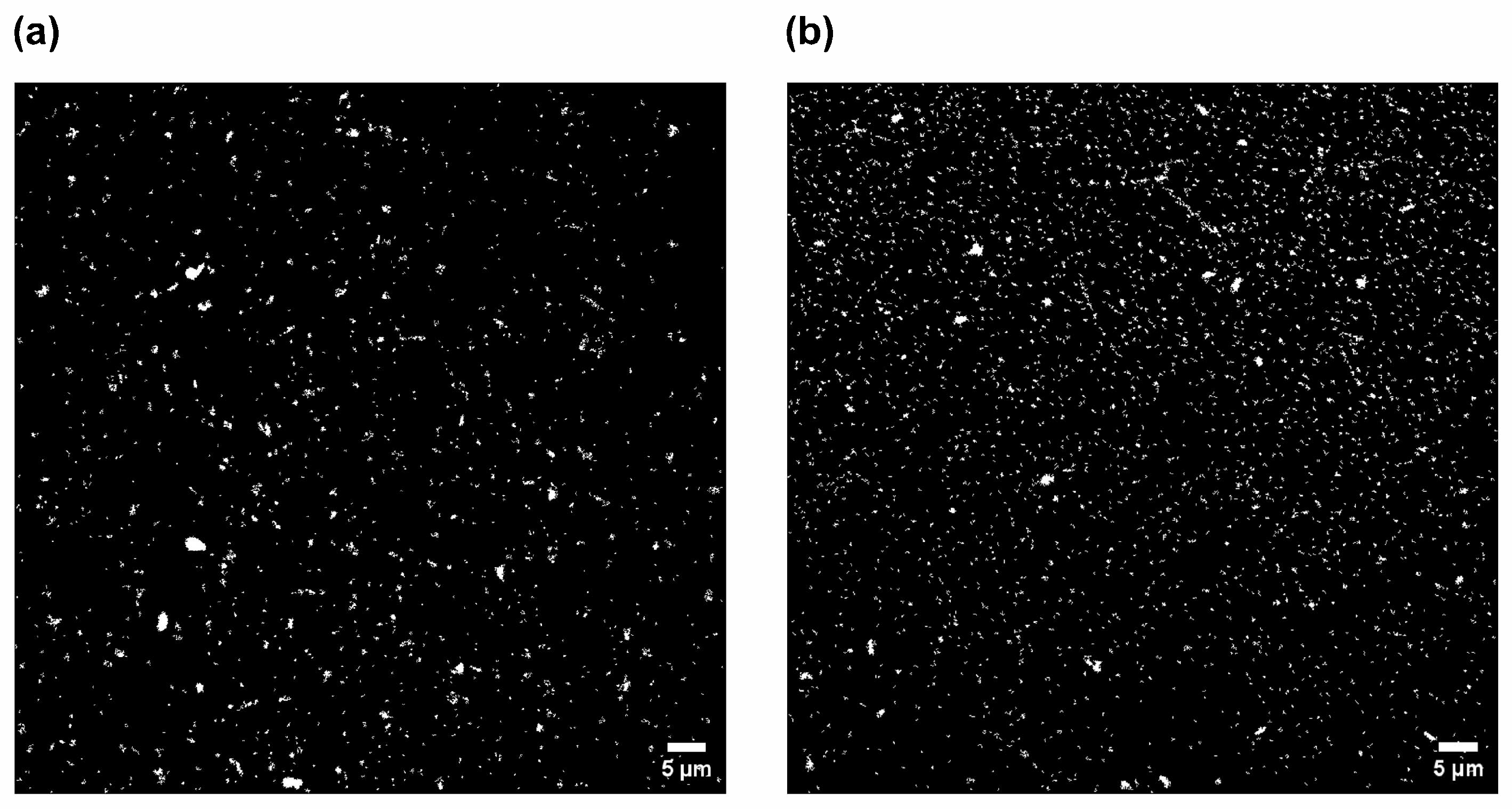 Cells 15 00642 g006