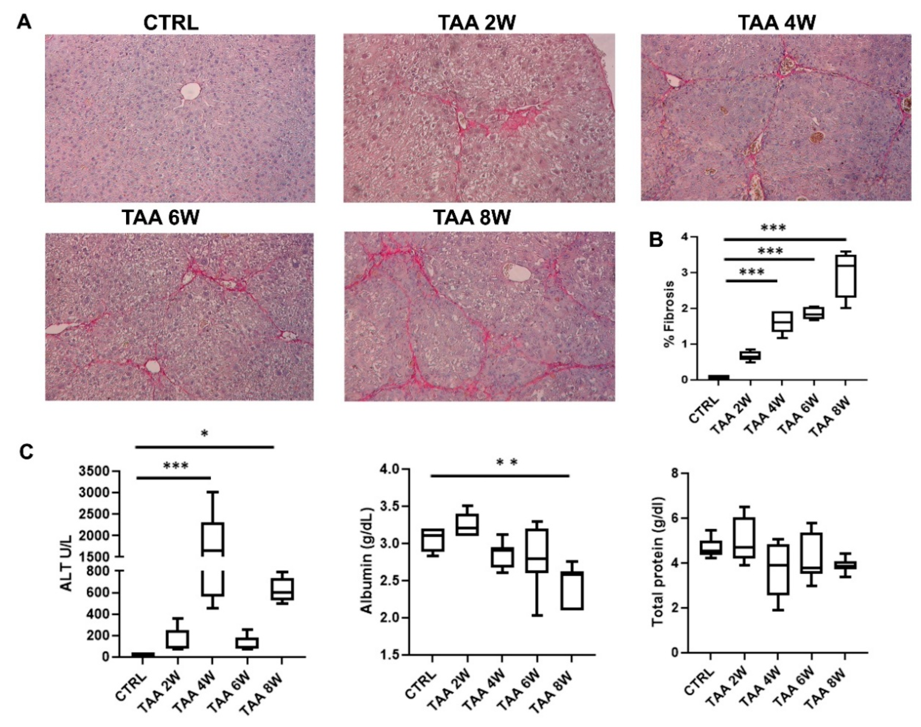 Cells 15 00661 g005 Cells 15 00661 g005