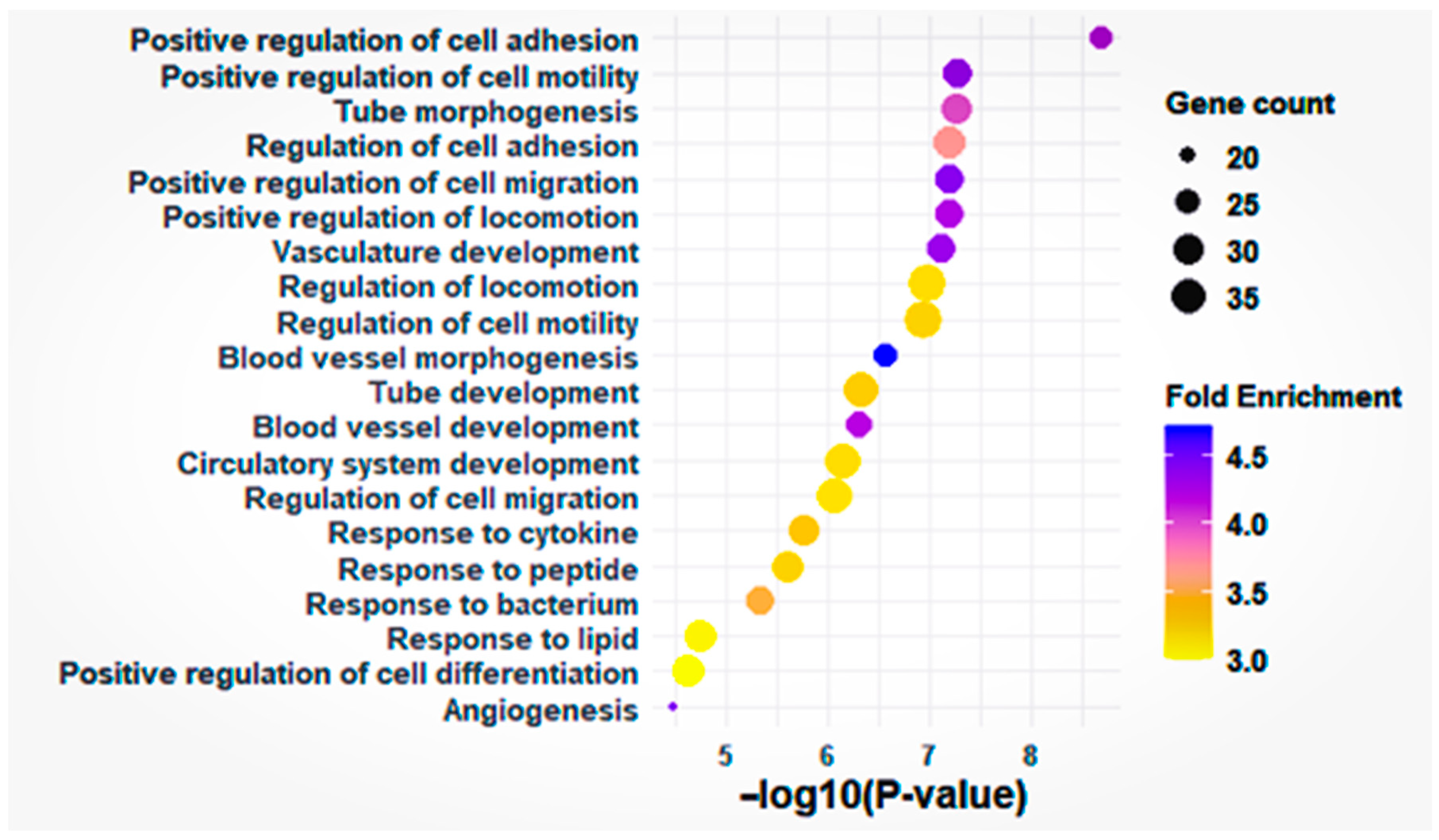 Cells 15 00677 g004 Cells 15 00677 g004