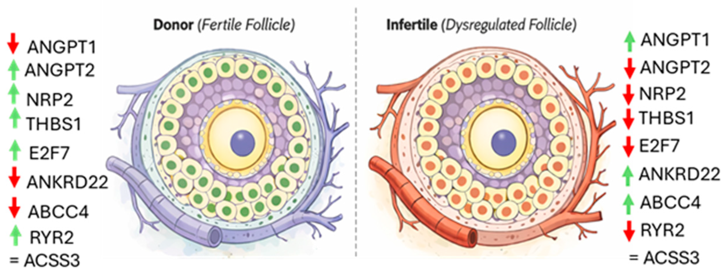 Cells 15 00677 g008 Cells 15 00677 g008