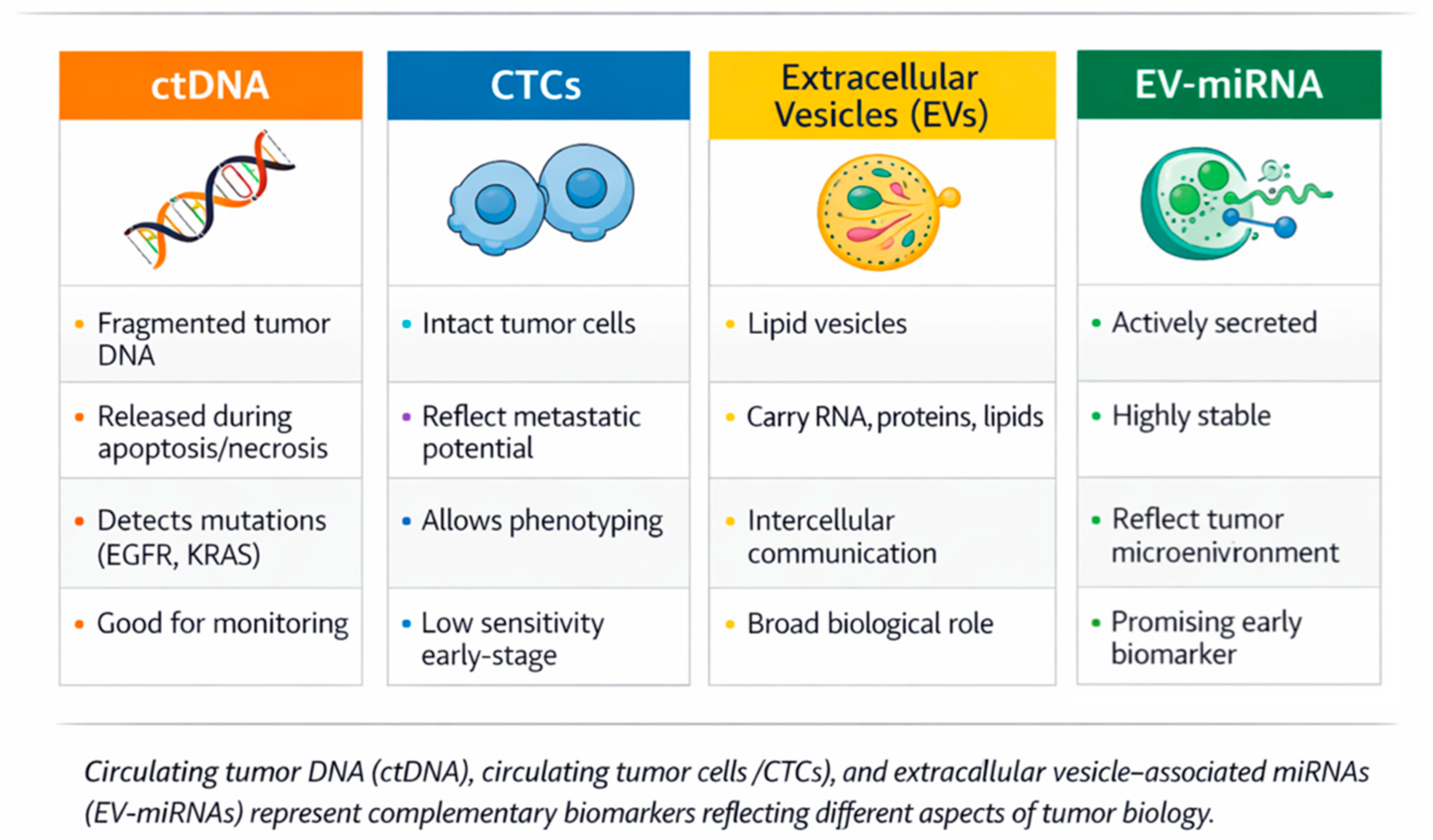 Cells 15 00731 g002 Cells 15 00731 g002
