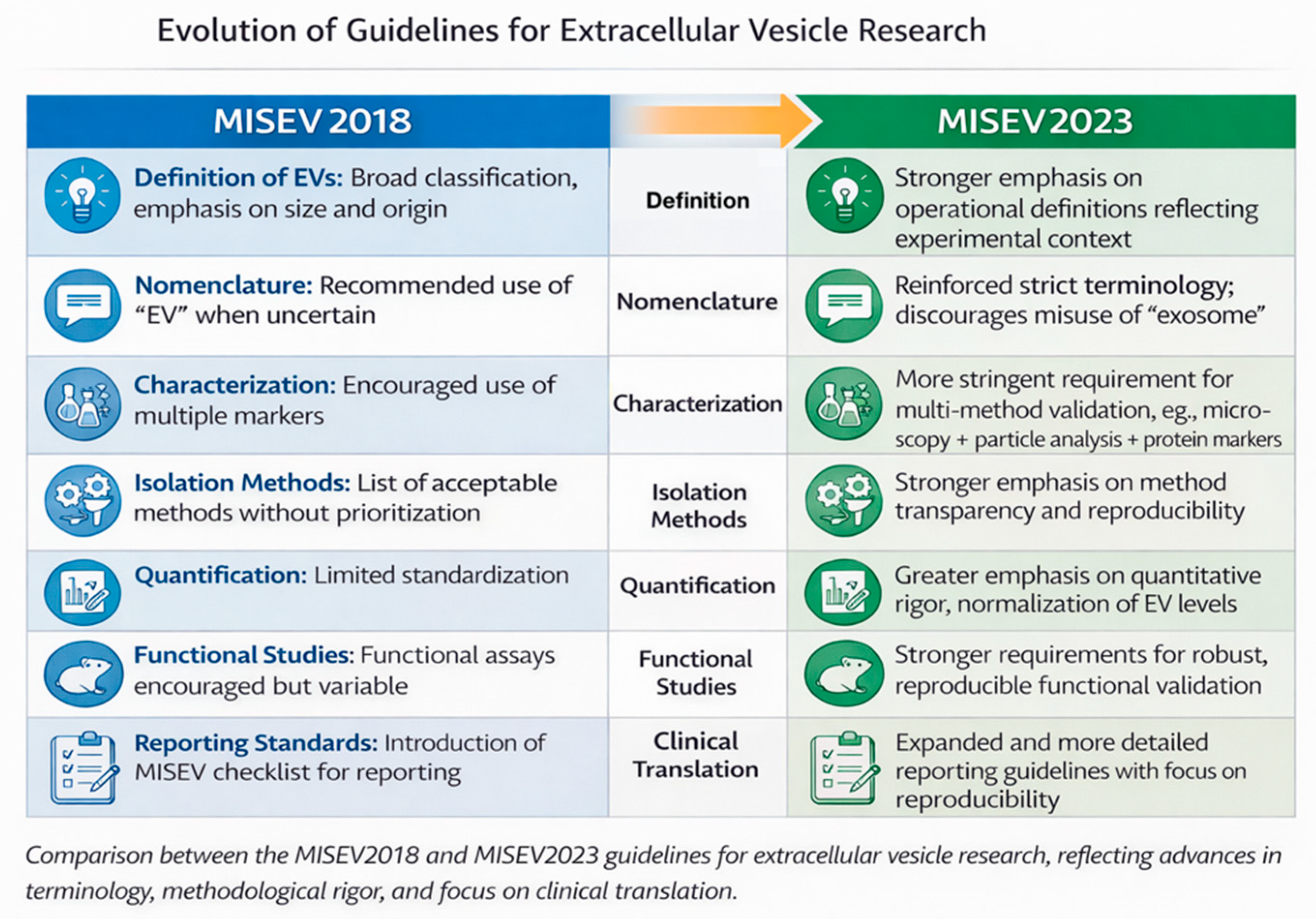 Cells 15 00731 g003 Cells 15 00731 g003