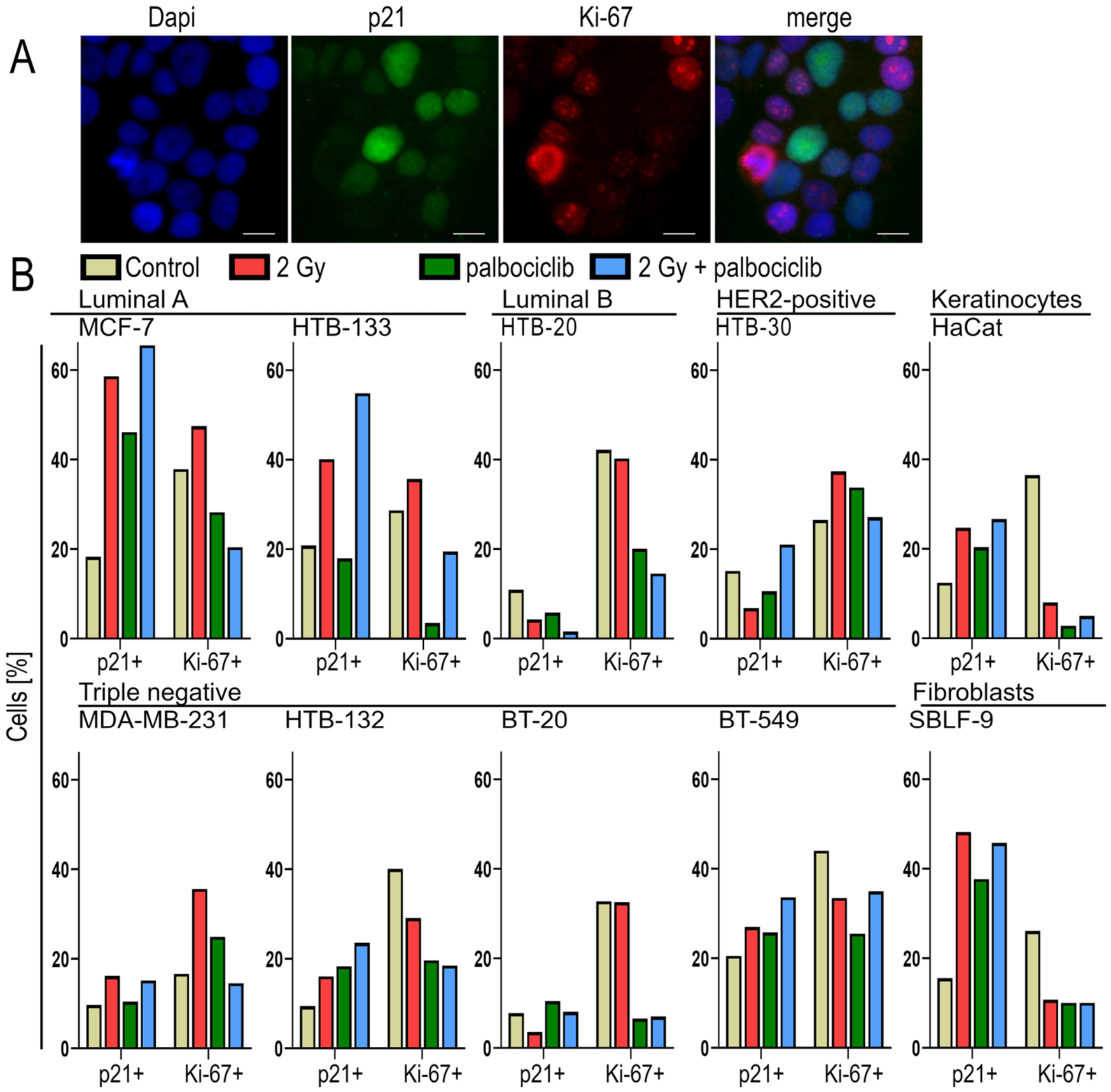 Cells 15 00734 g004 Cells 15 00734 g004