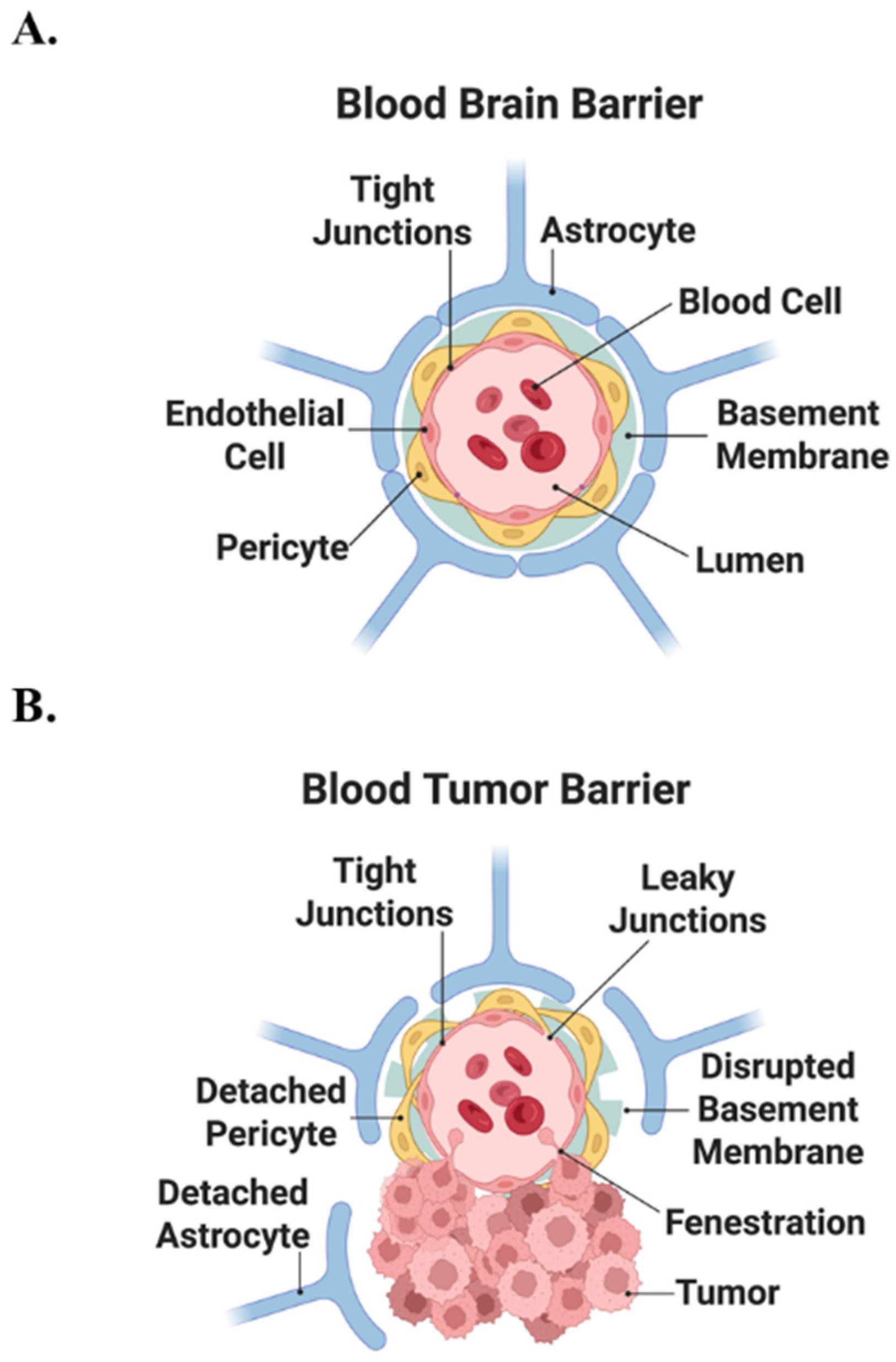 Cells 15 00735 g001 Cells 15 00735 g001