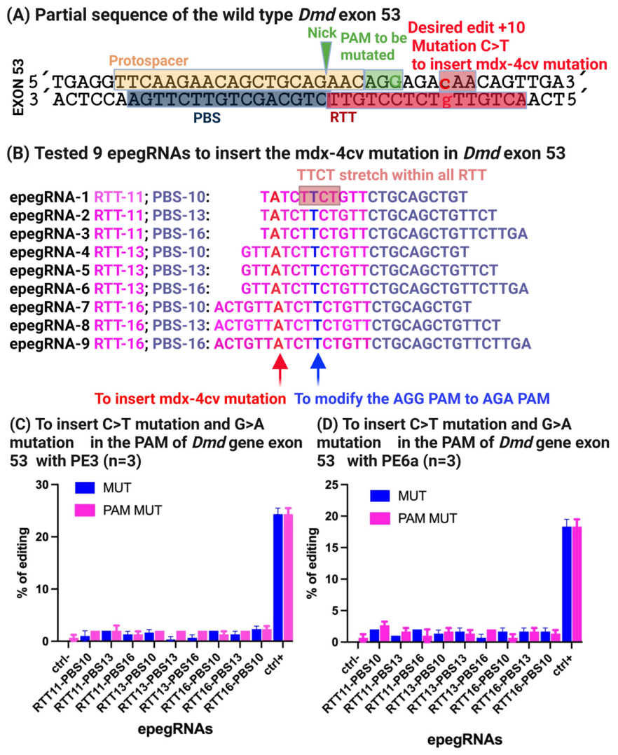 Cells 15 00740 g004 Cells 15 00740 g004