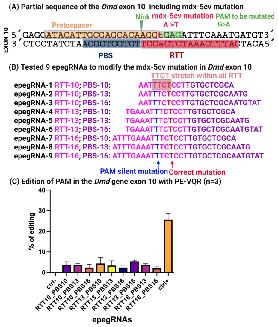 Cells 15 00740 g006 Cells 15 00740 g006