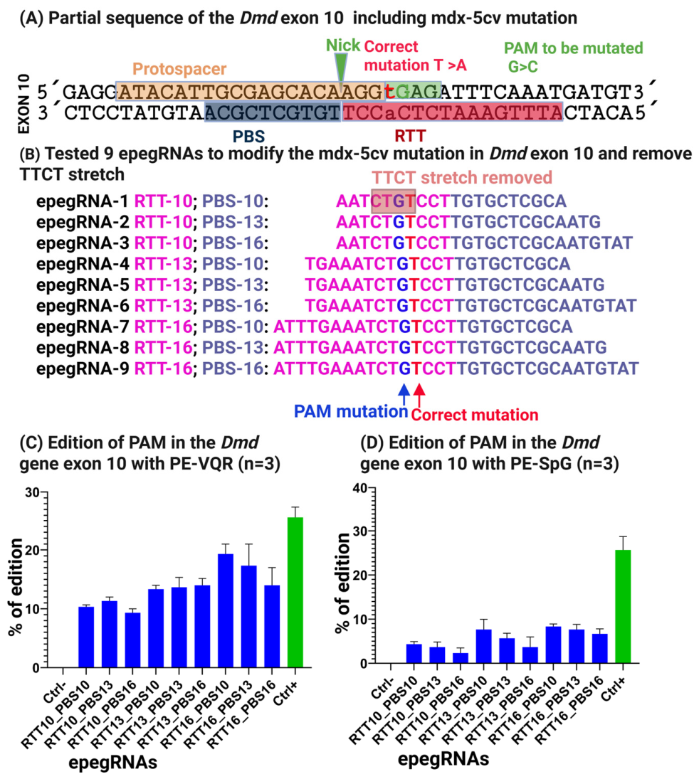 Cells 15 00740 g007 Cells 15 00740 g007