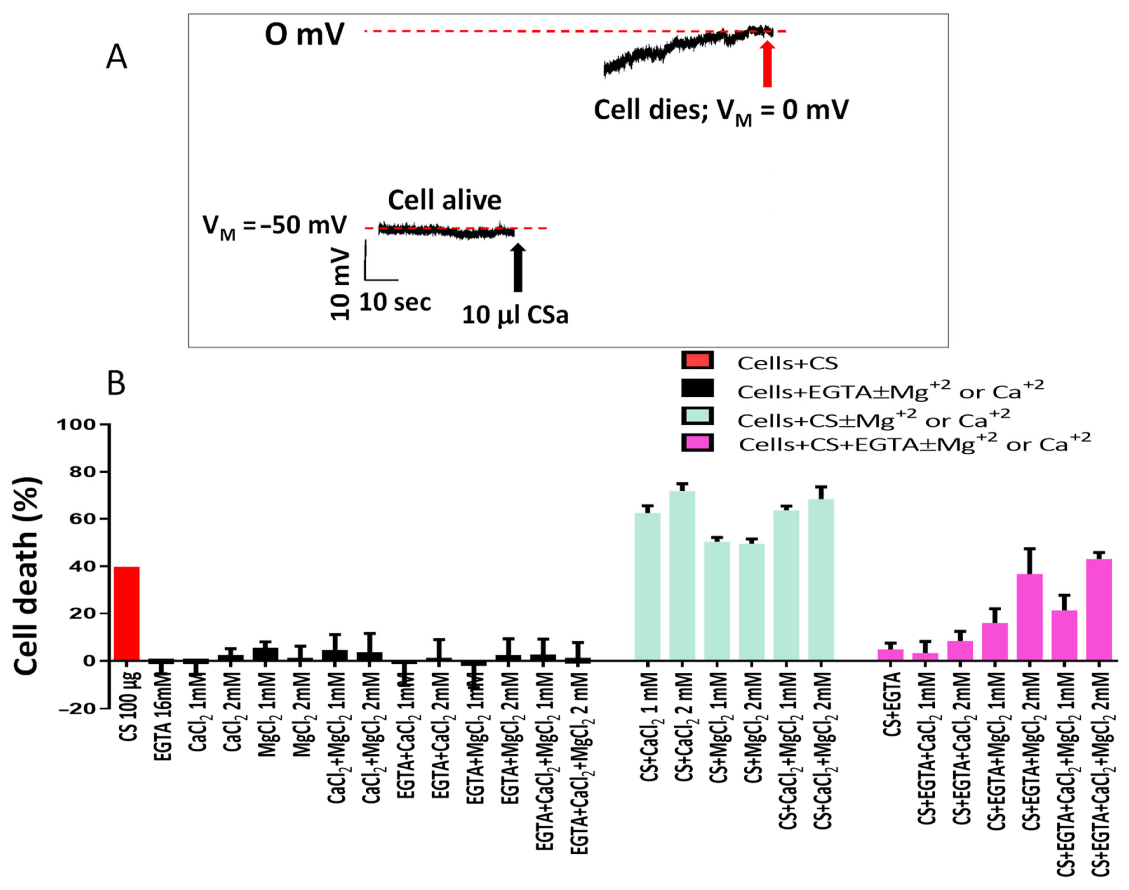 Cells 15 00749 g004 Cells 15 00749 g004