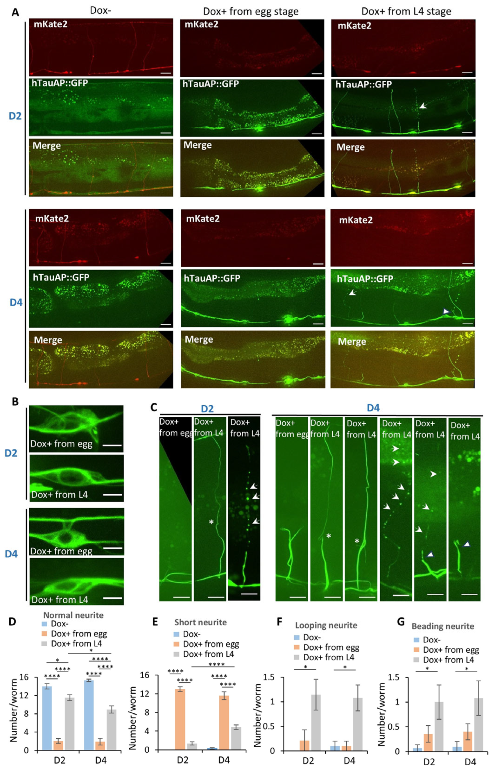Cells 15 00793 g003 Cells 15 00793 g003