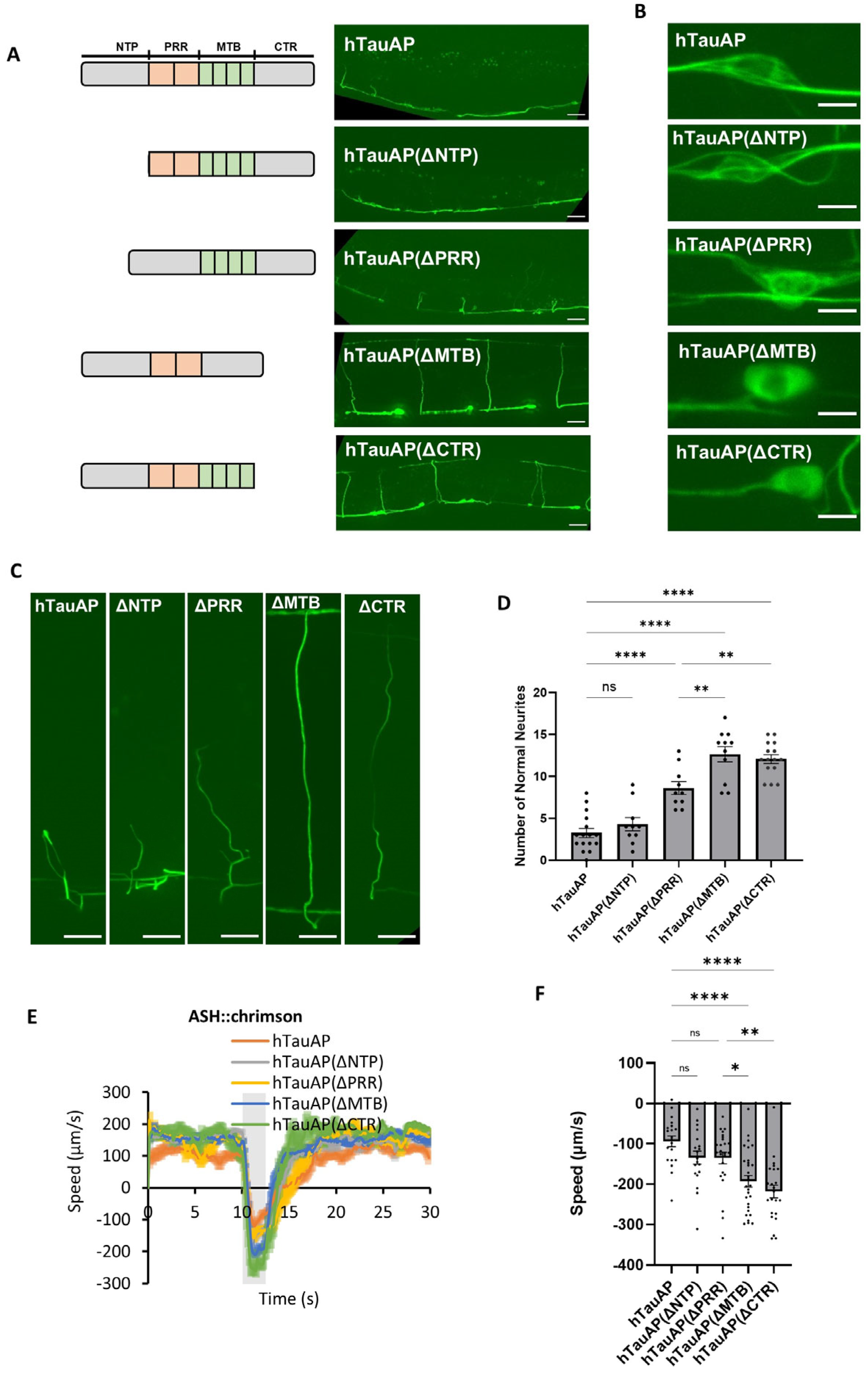 Cells 15 00793 g004 Cells 15 00793 g004