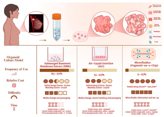 Cells 15 00922 g006