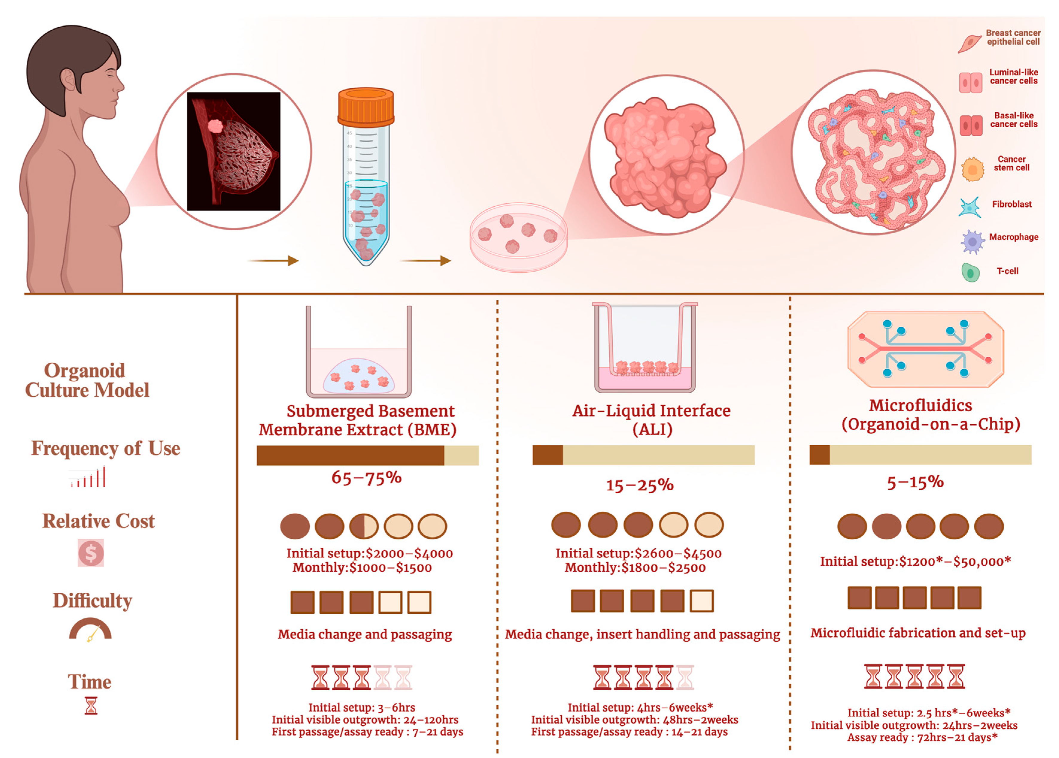 Cells 15 00922 g006 Cells 15 00922 g006