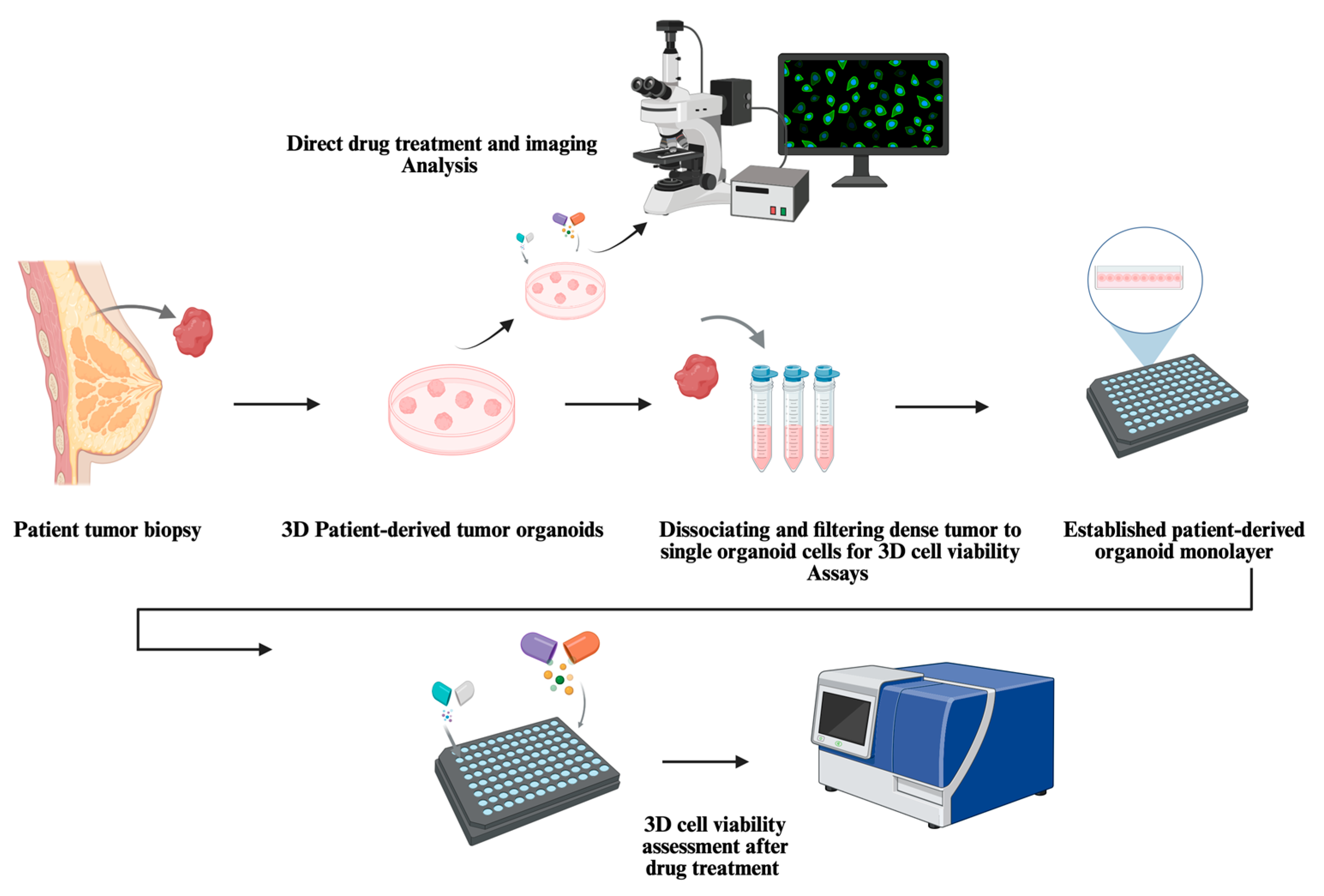 Cells 15 00922 g008 Cells 15 00922 g008