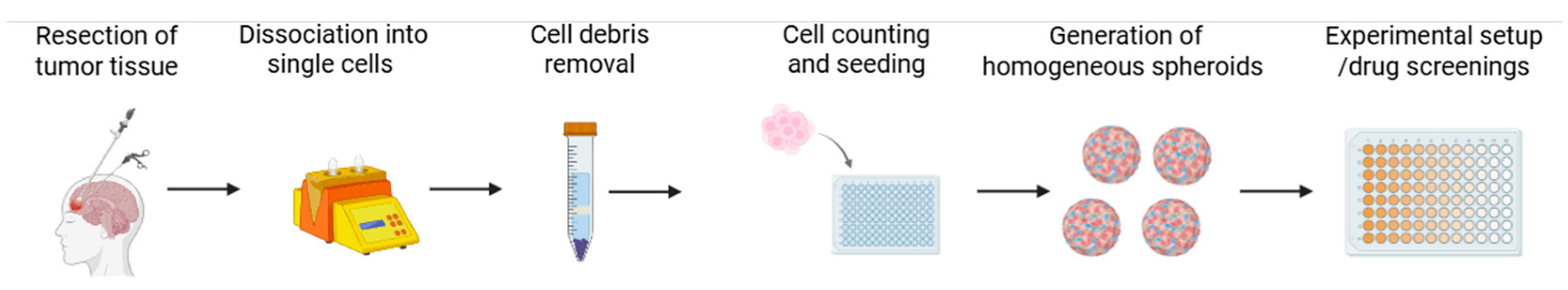 Cells 15 01021 g001