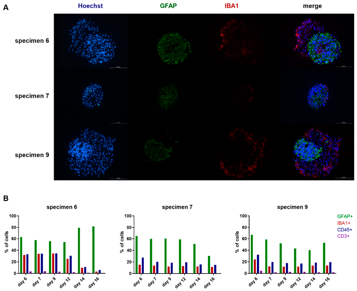 Cells 15 01021 g006