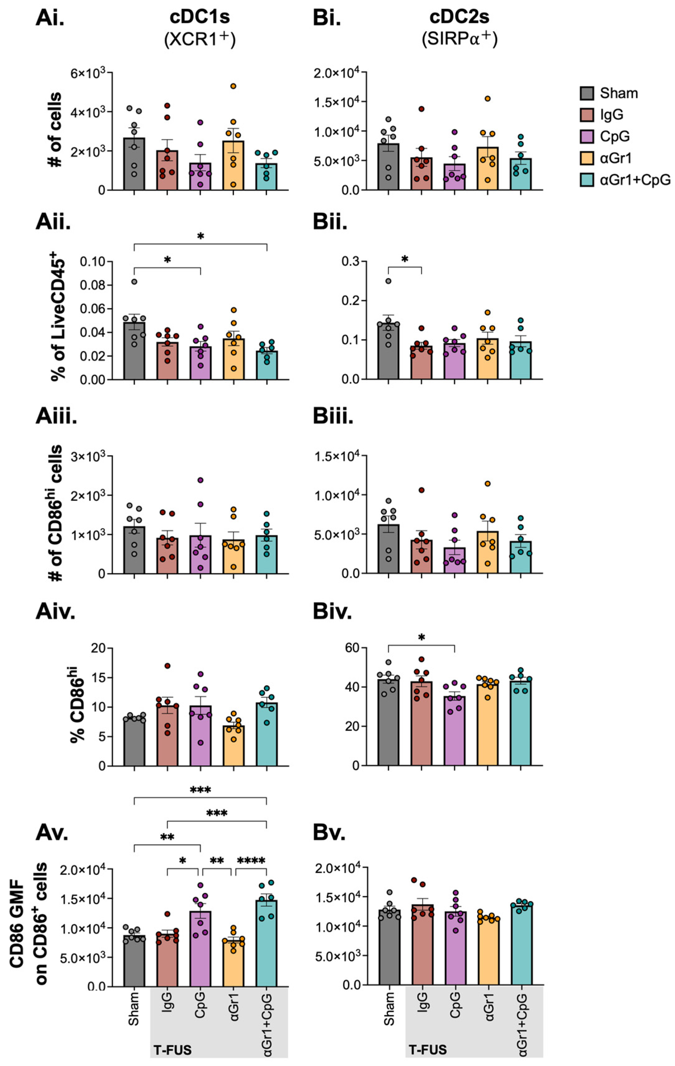 Cells 15 01035 g006 Cells 15 01035 g006
