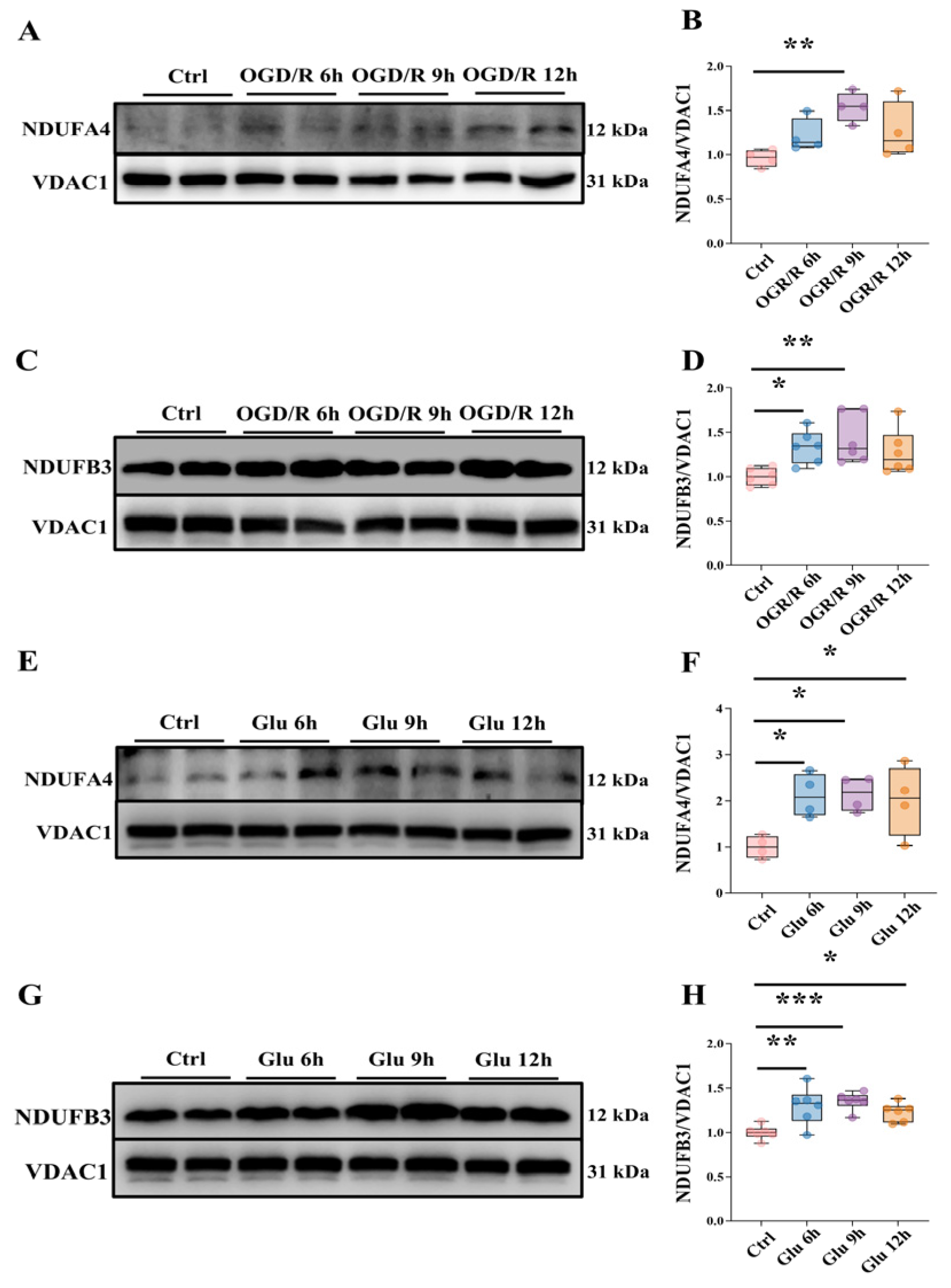 Cells 15 01071 g003 Cells 15 01071 g003