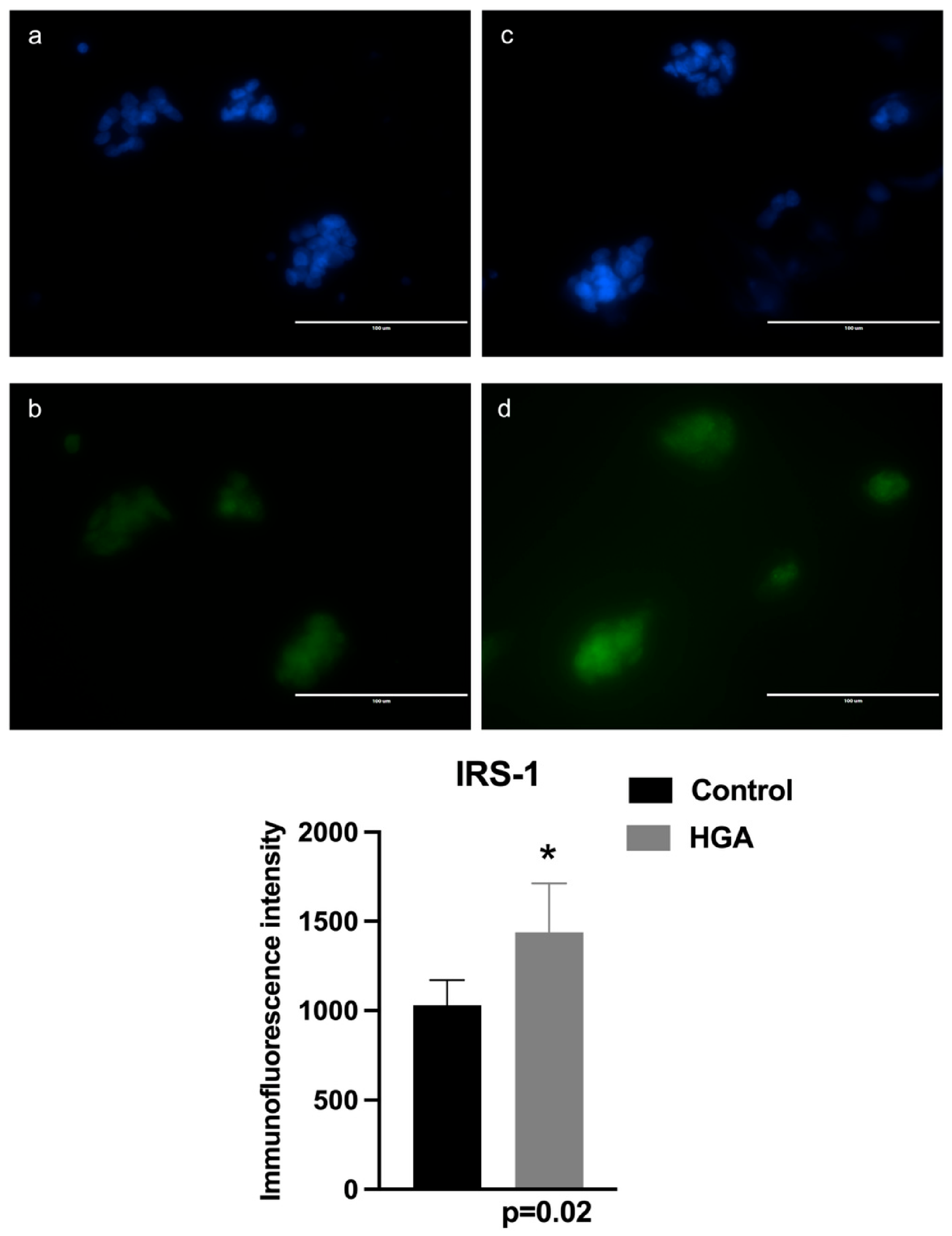 Cells 15 01174 g002 Cells 15 01174 g002