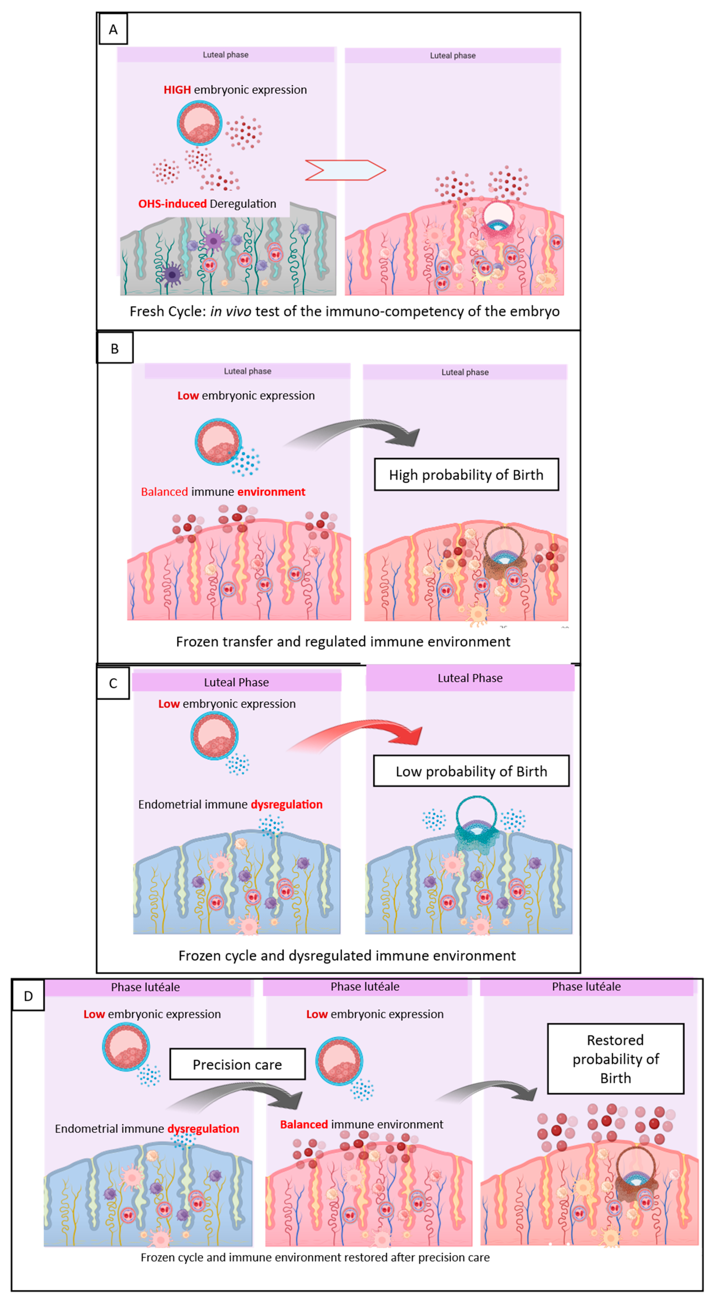 Cells 15 01186 g003 Cells 15 01186 g003