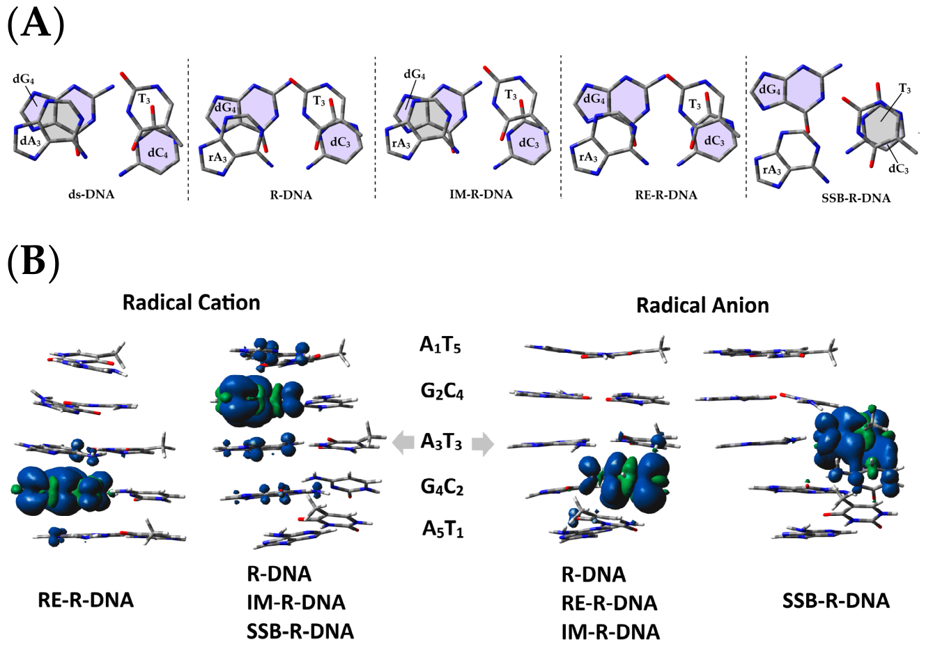 Cells 15 01194 g003 Cells 15 01194 g003