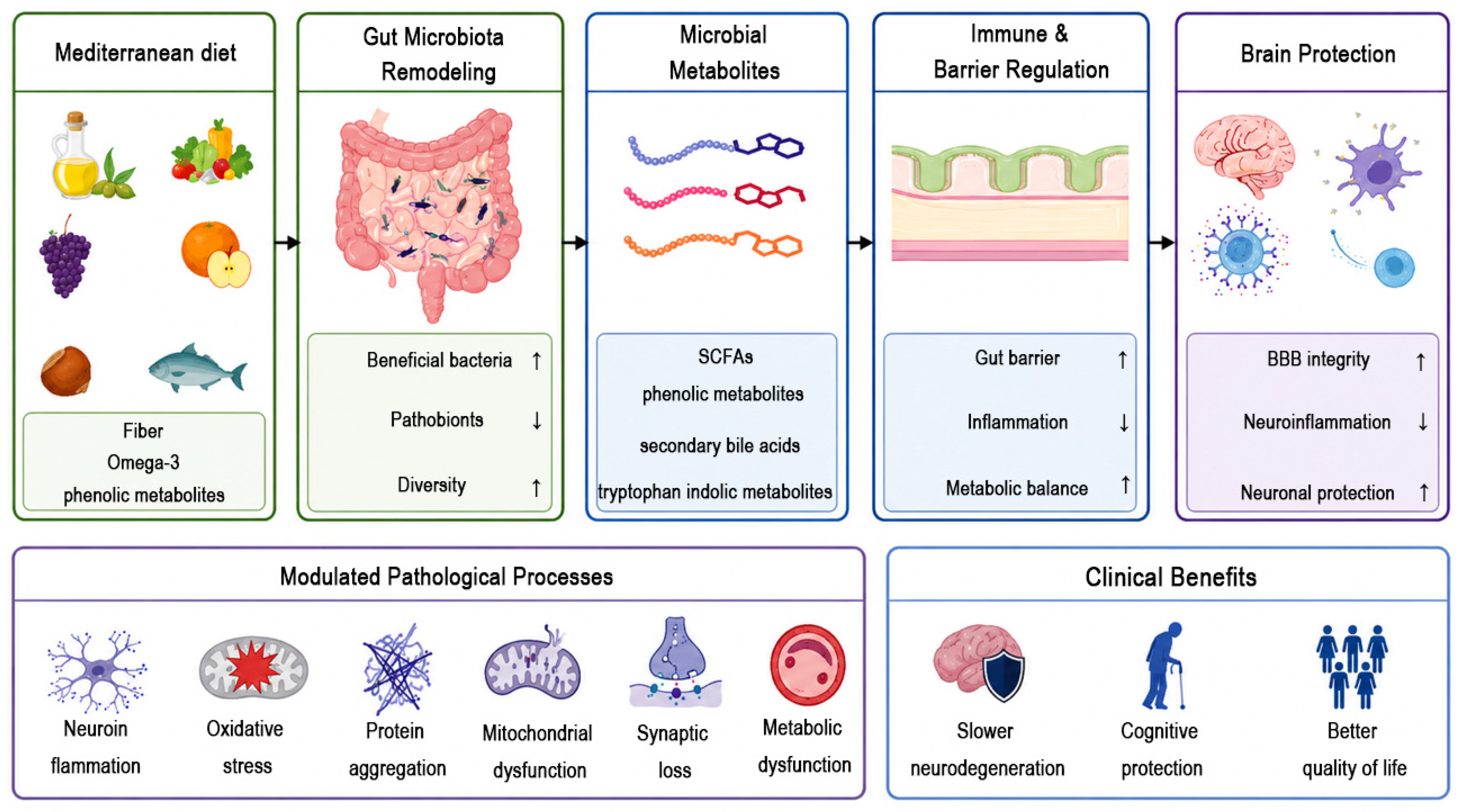 Mediterranean Diet and Neurodegenerative Diseases: Recent Advances from ...