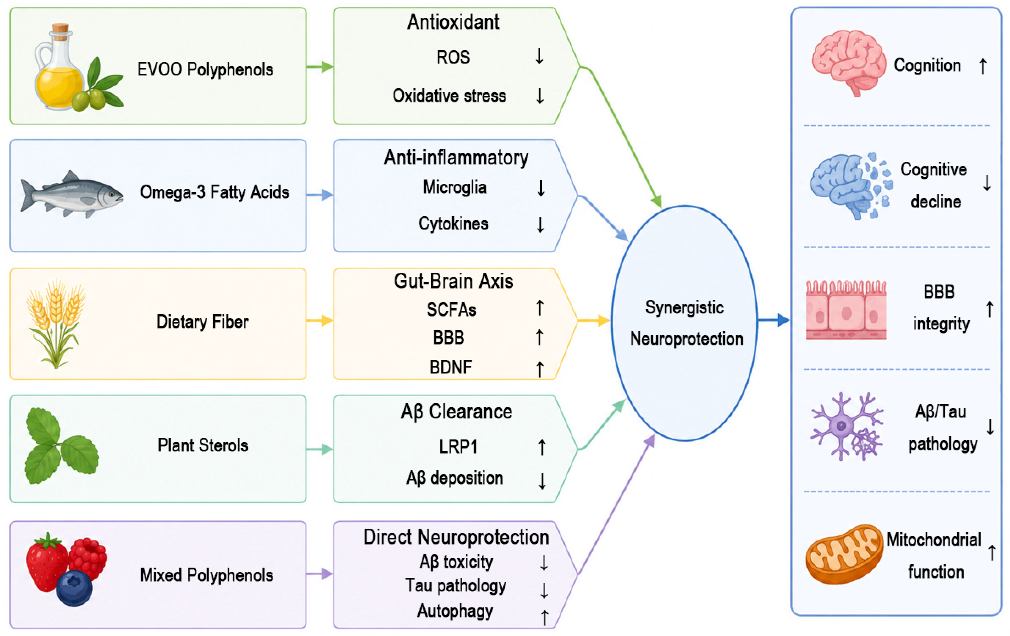 Mediterranean Diet and Neurodegenerative Diseases: Recent Advances from ...