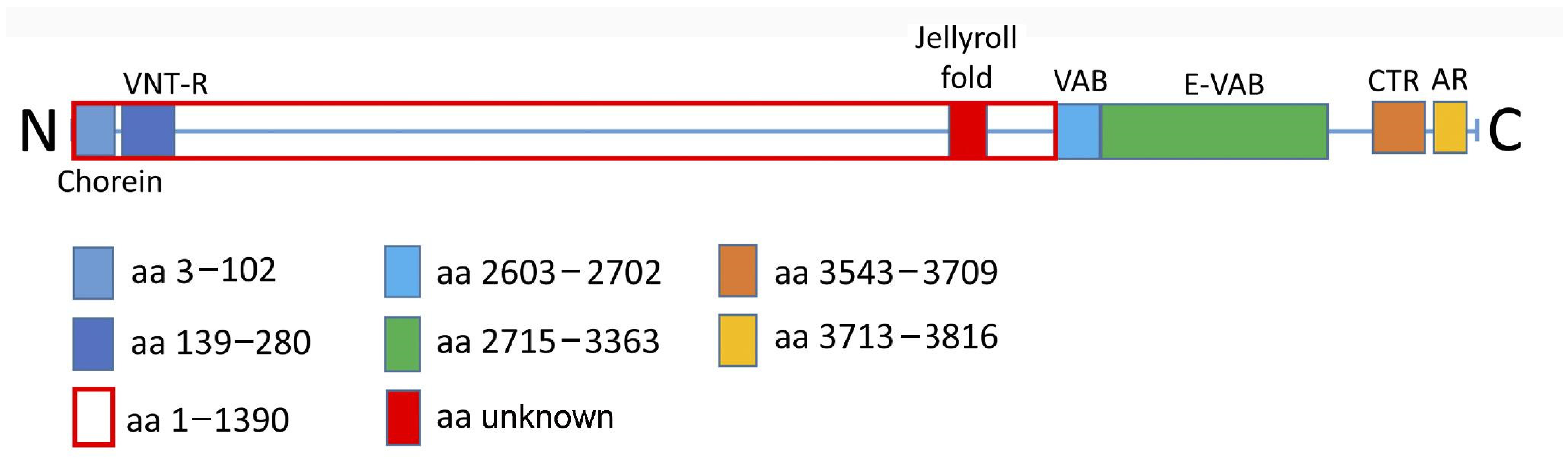 Cells 15 01535 g001 Cells 15 01535 g001