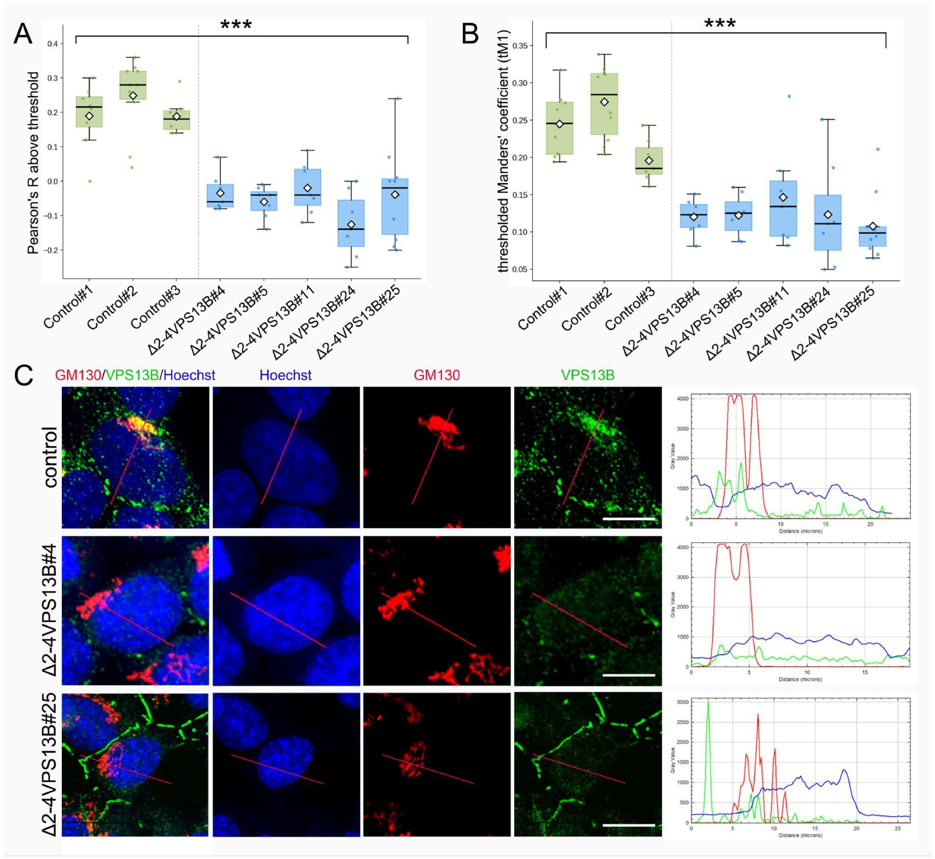 Cells 15 01535 g004 Cells 15 01535 g004
