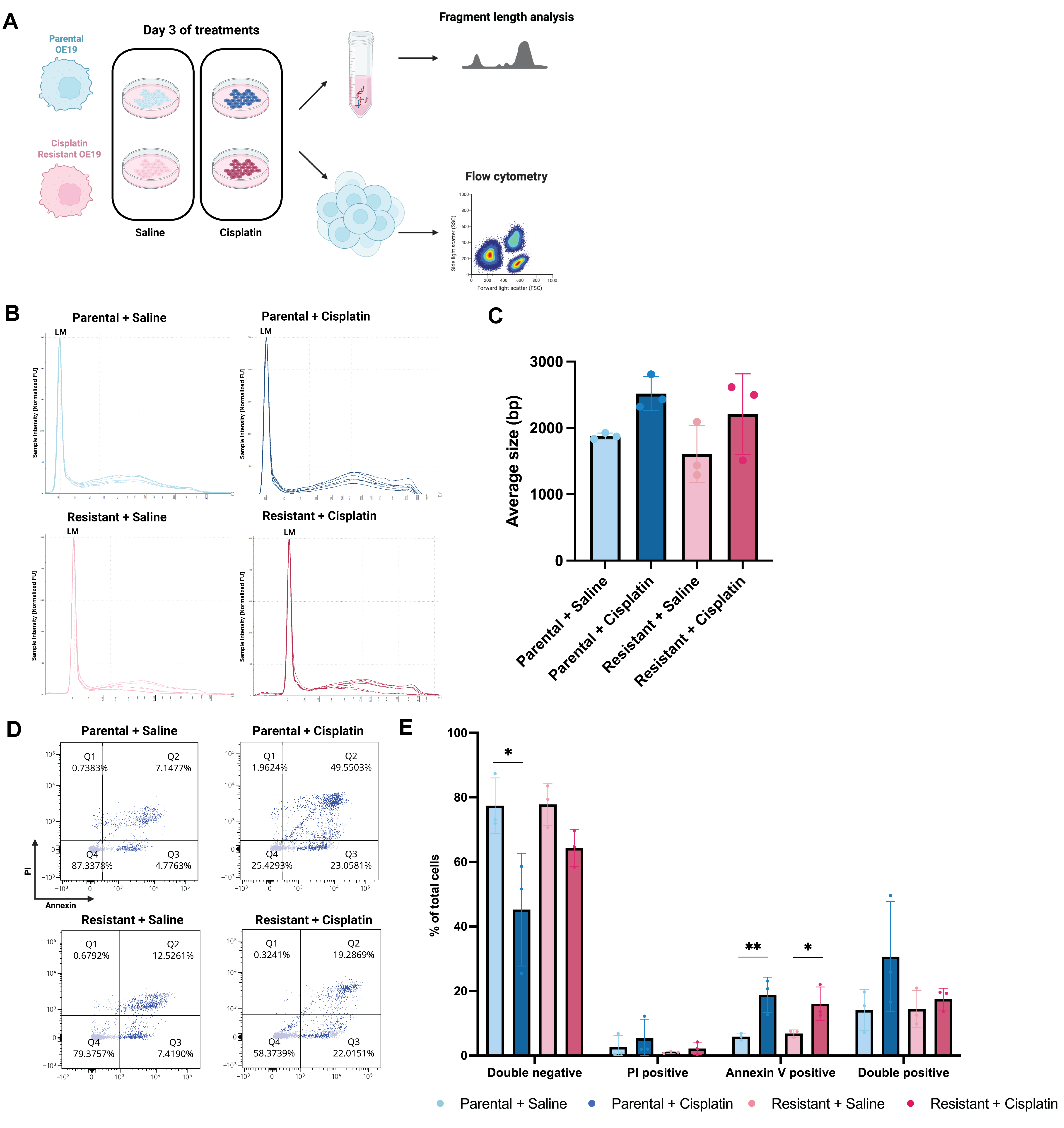 Cells 15 01561 g005 Cells 15 01561 g005