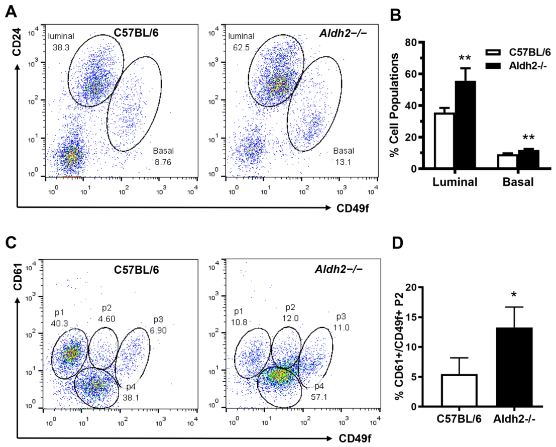 Cells 15 01632 g002 Cells 15 01632 g002