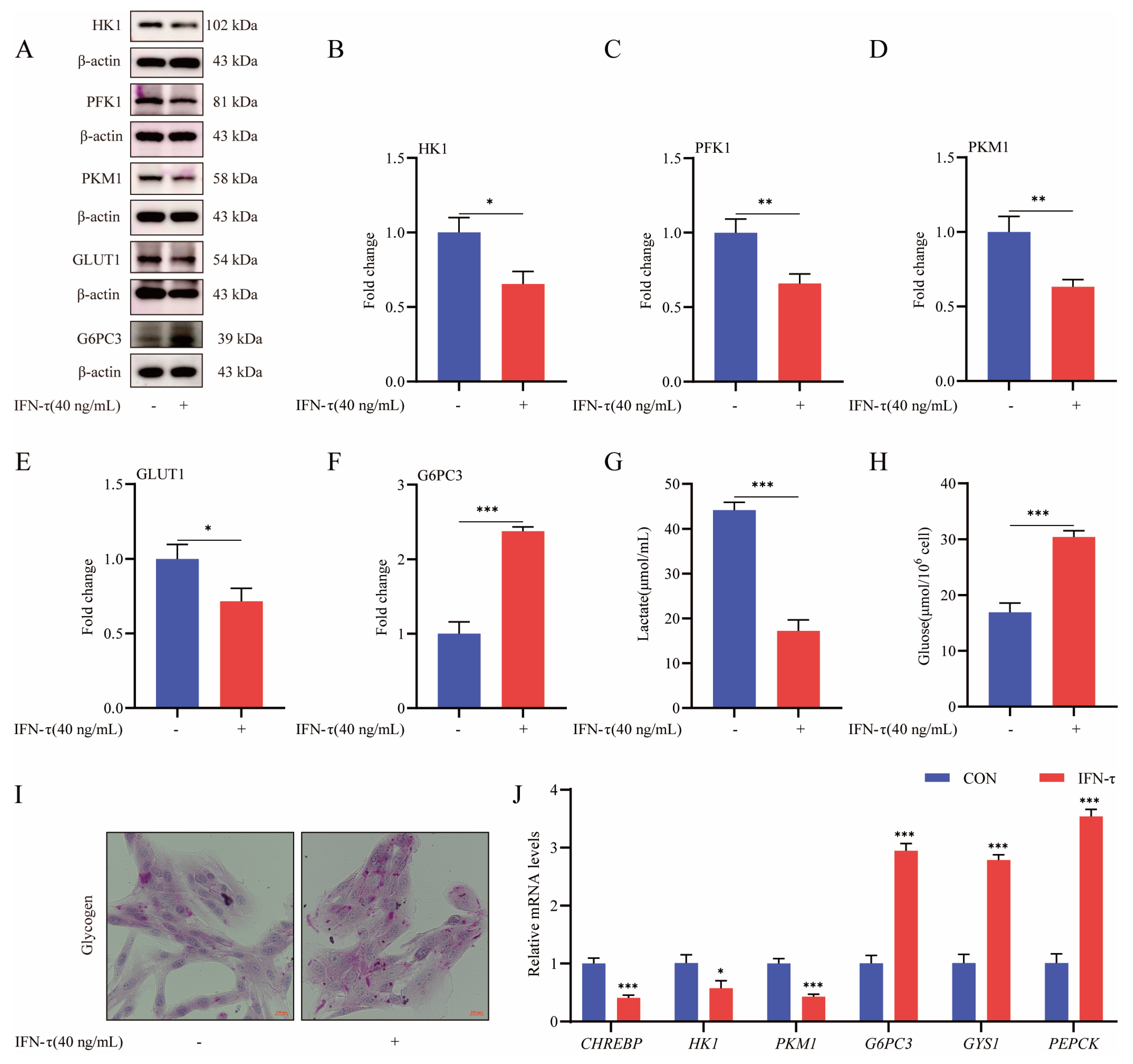 Cells 15 01656 g001 Cells 15 01656 g001