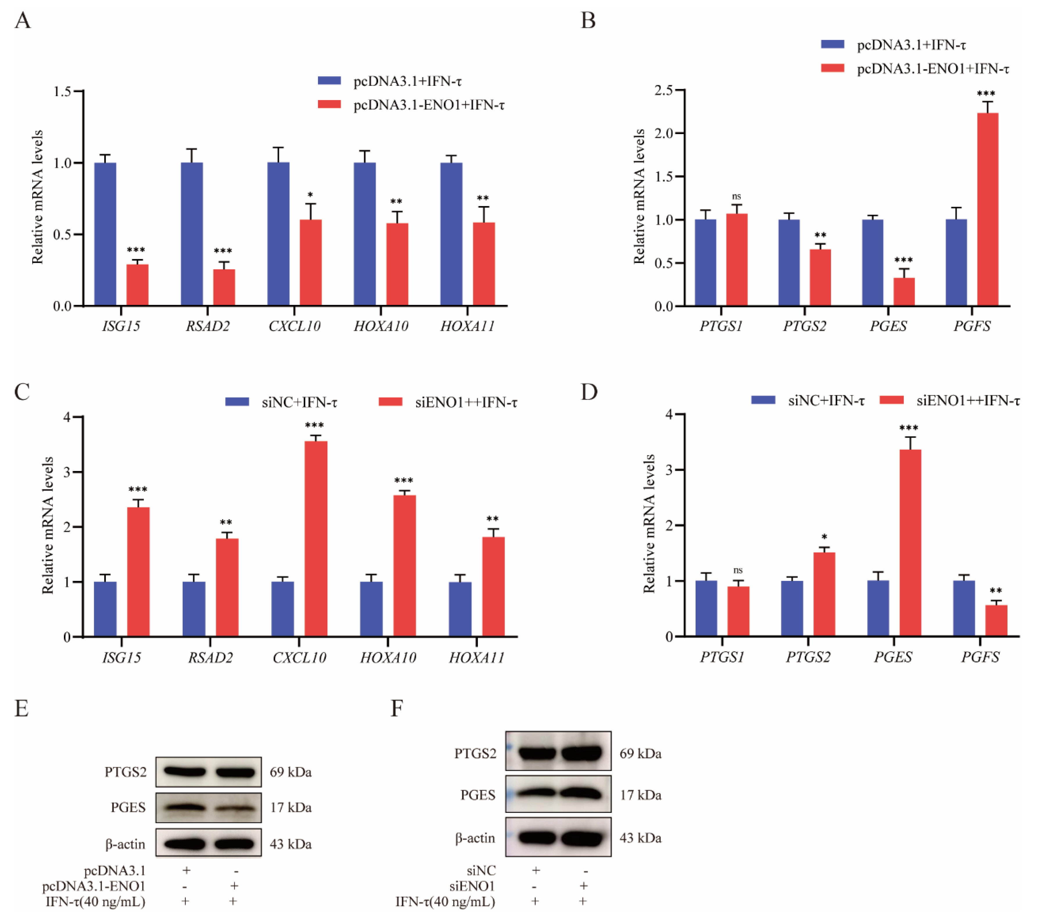 Cells 15 01656 g005 Cells 15 01656 g005