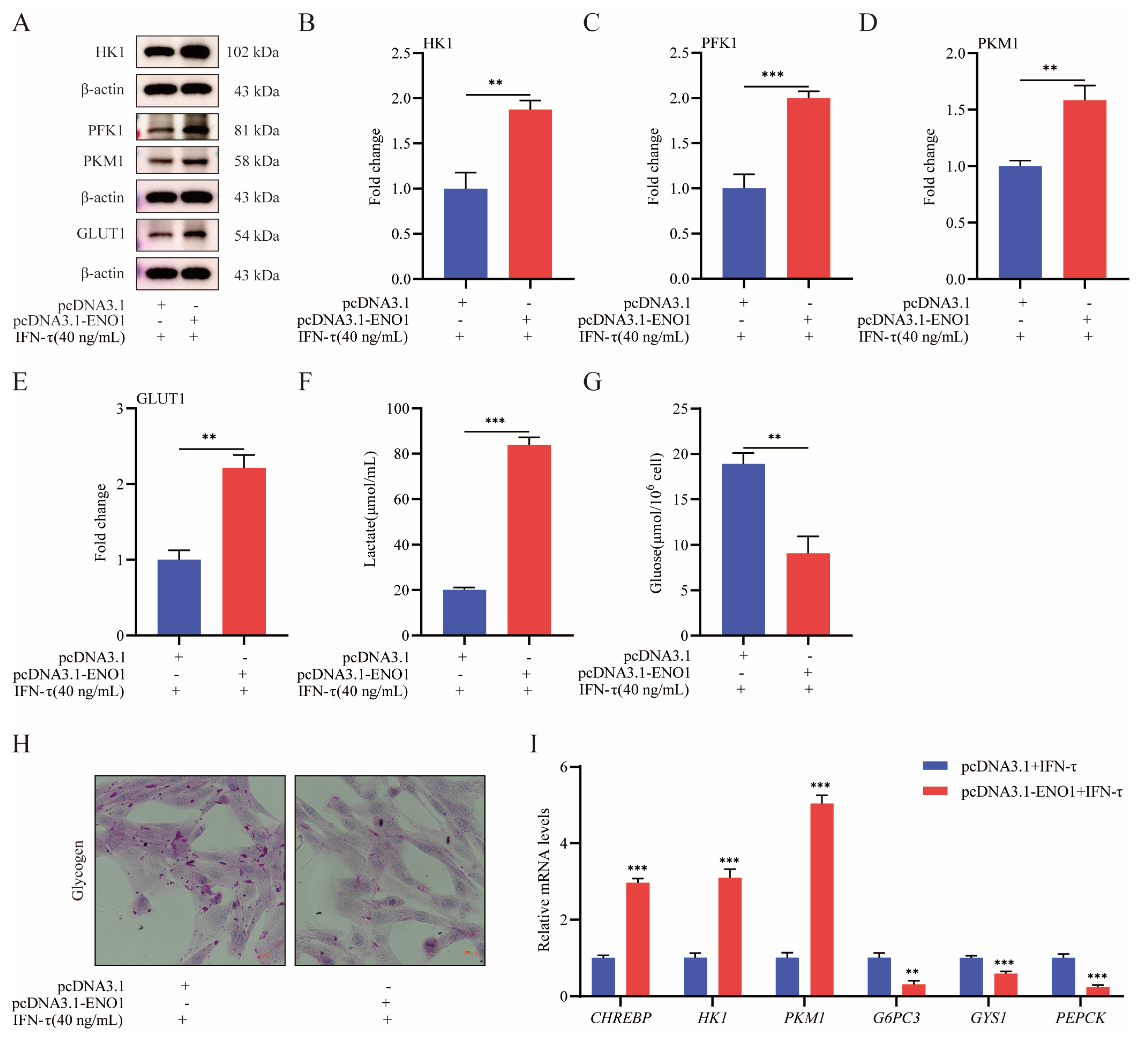 Cells 15 01656 g006 Cells 15 01656 g006