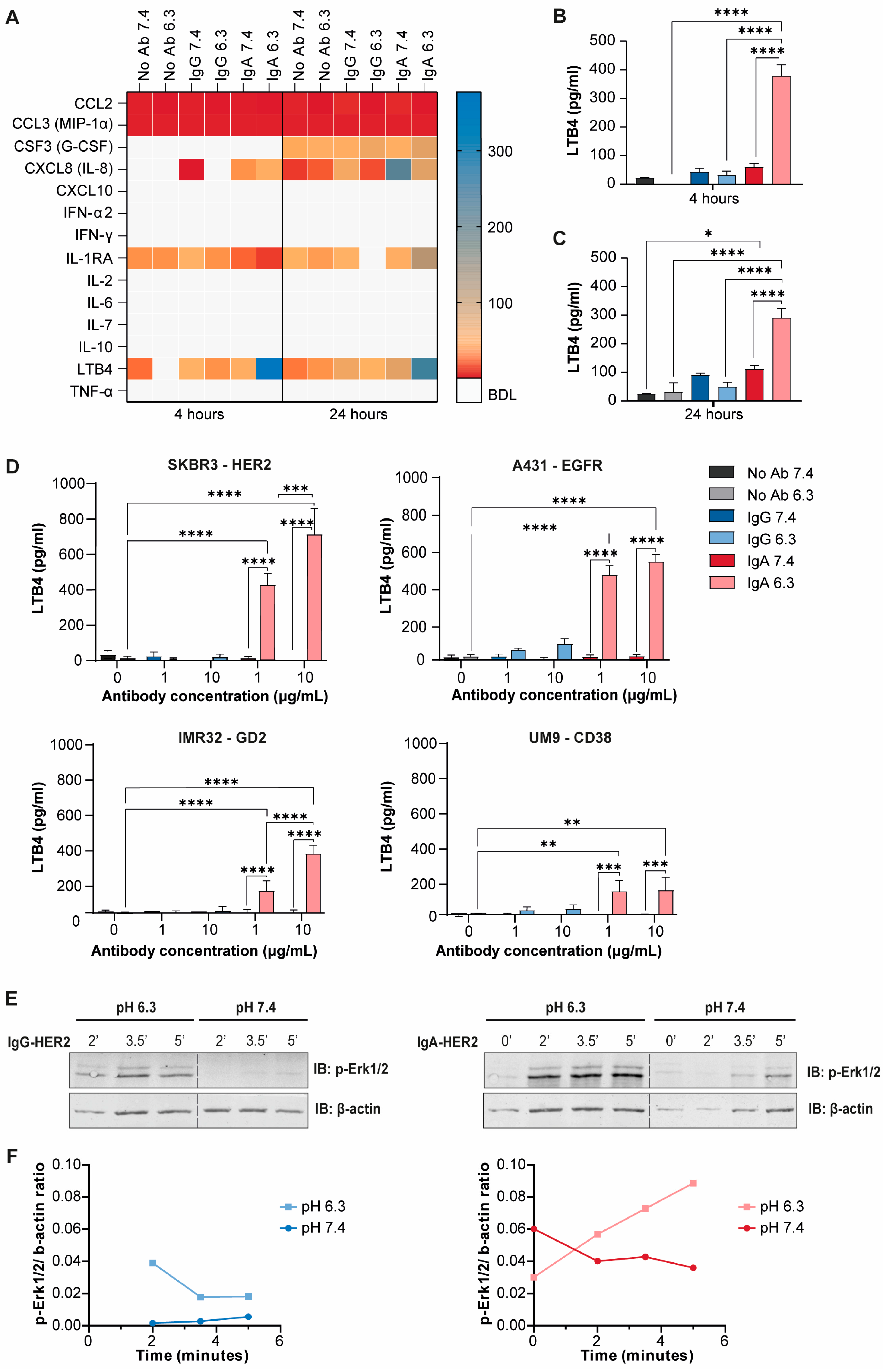 Cells 15 01663 g005 Cells 15 01663 g005