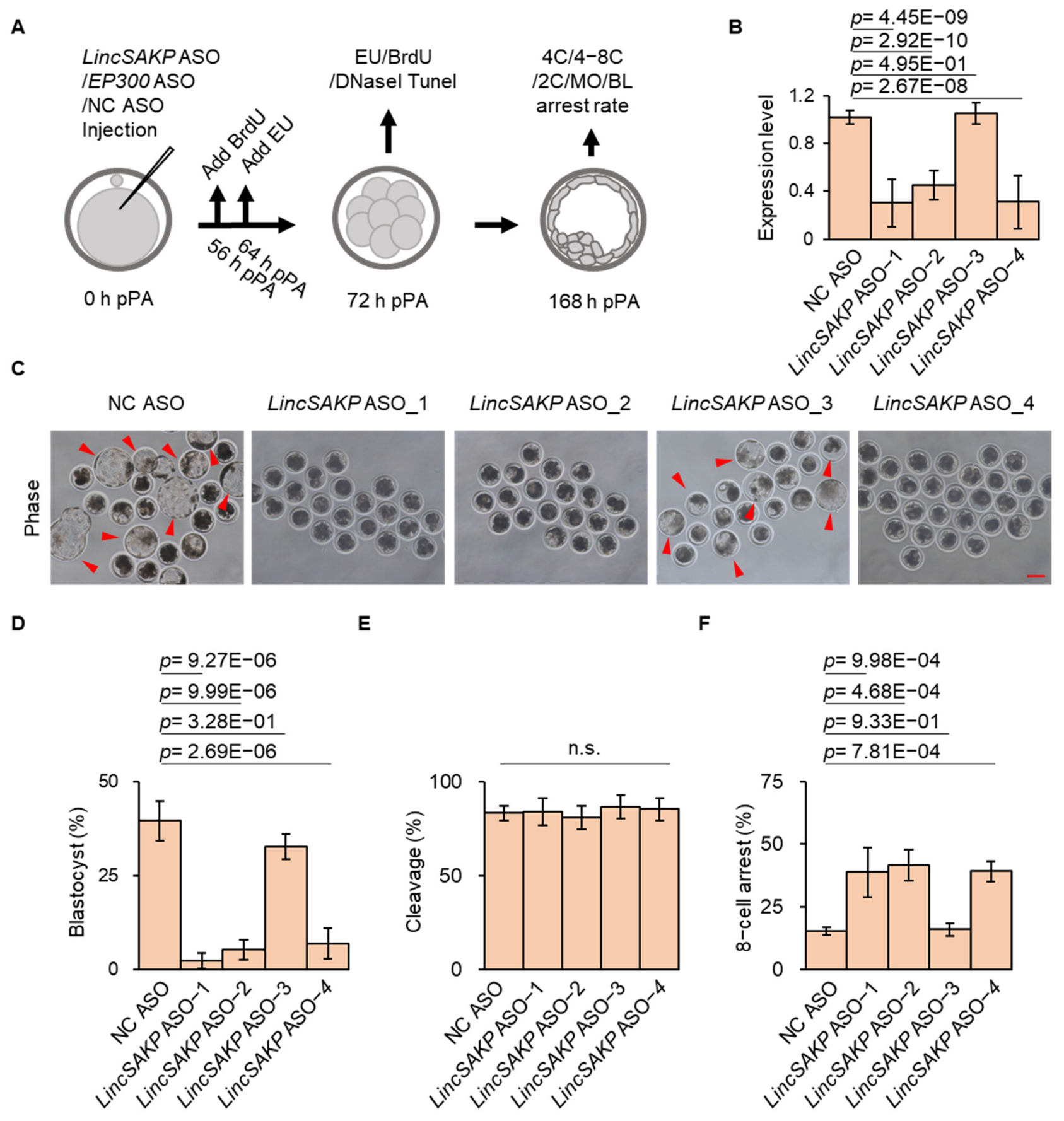 Cells 15 01707 g002 Cells 15 01707 g002