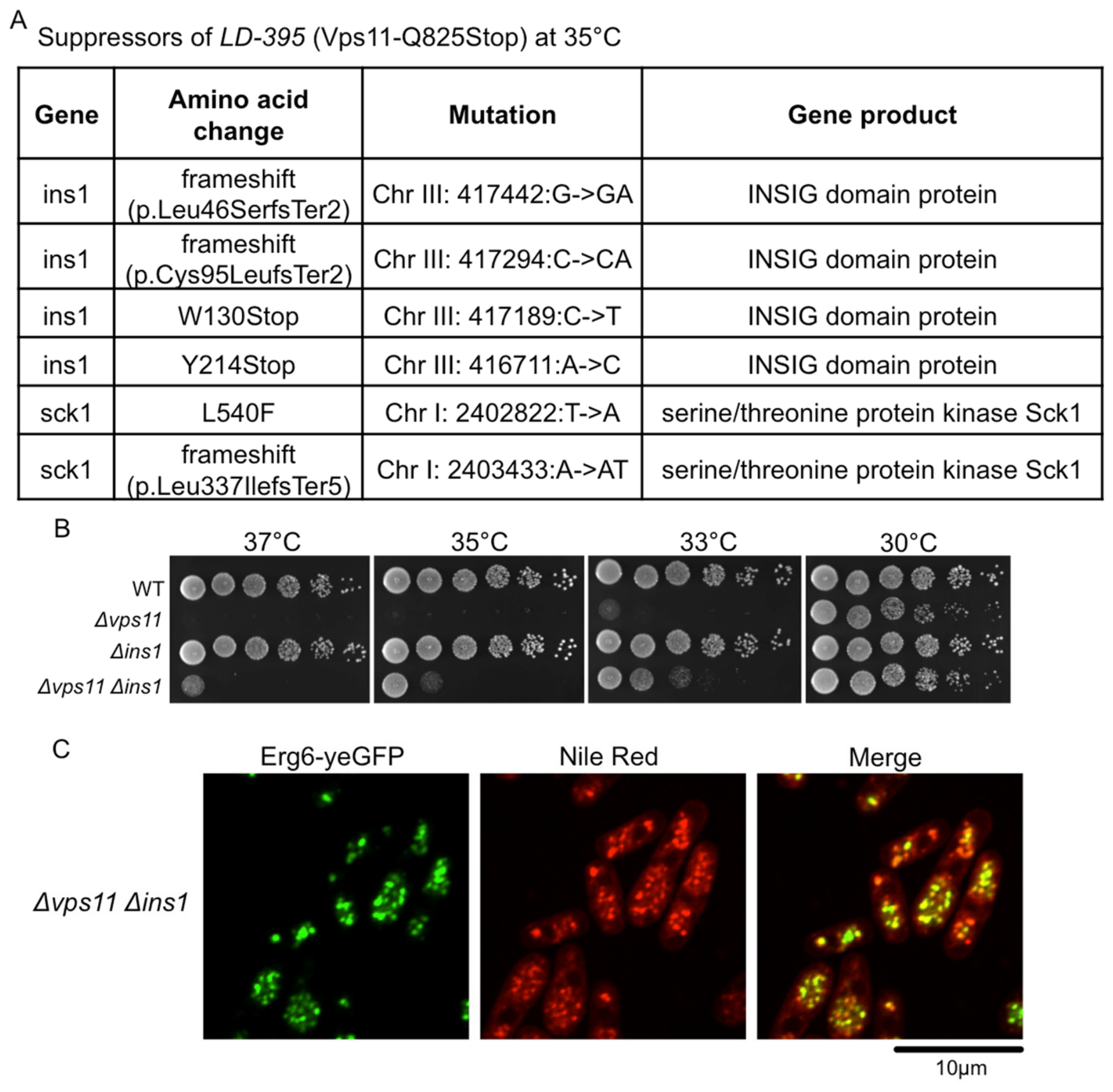 Cells 15 01724 g004 Cells 15 01724 g004