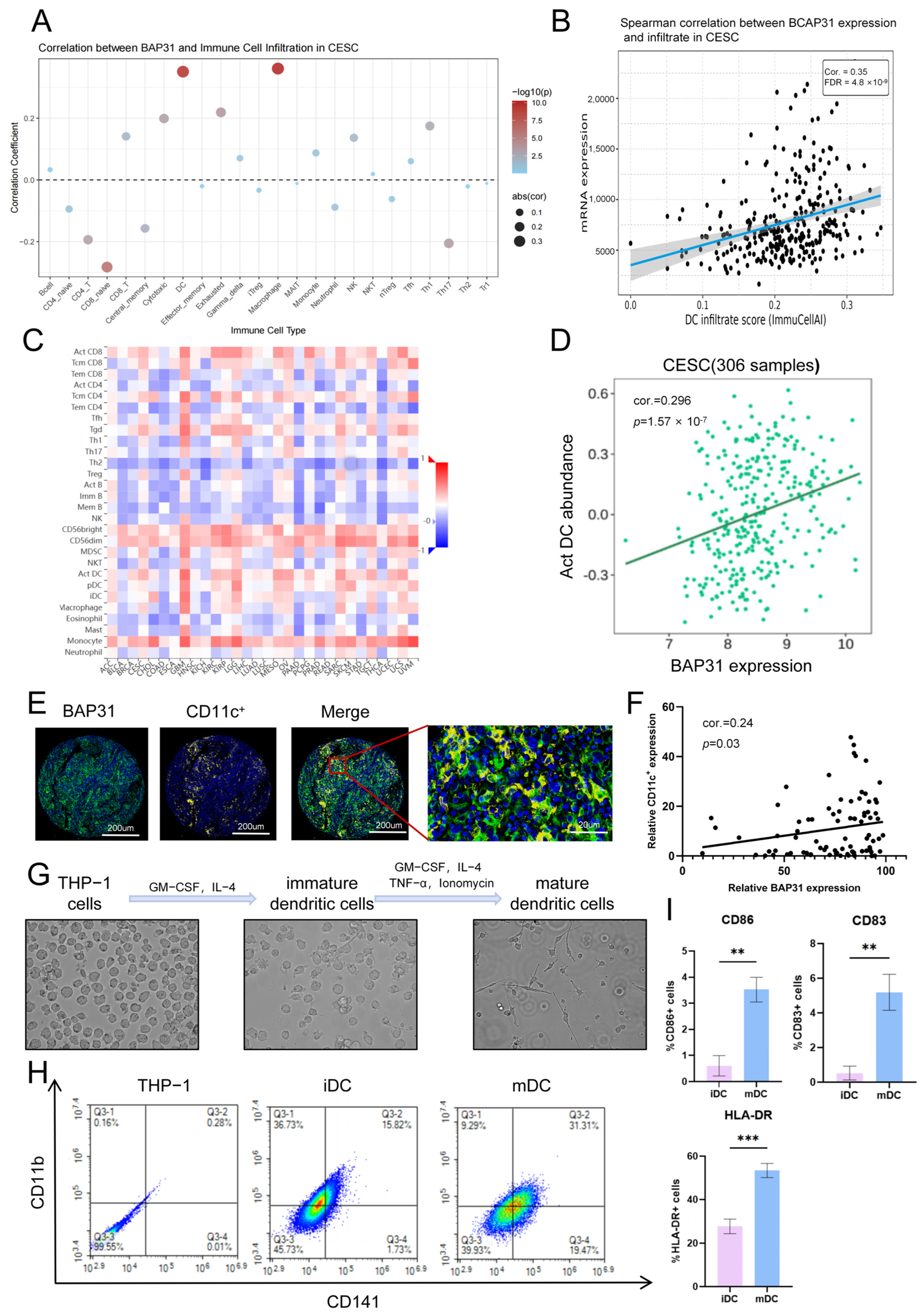 Cells 15 01765 g002