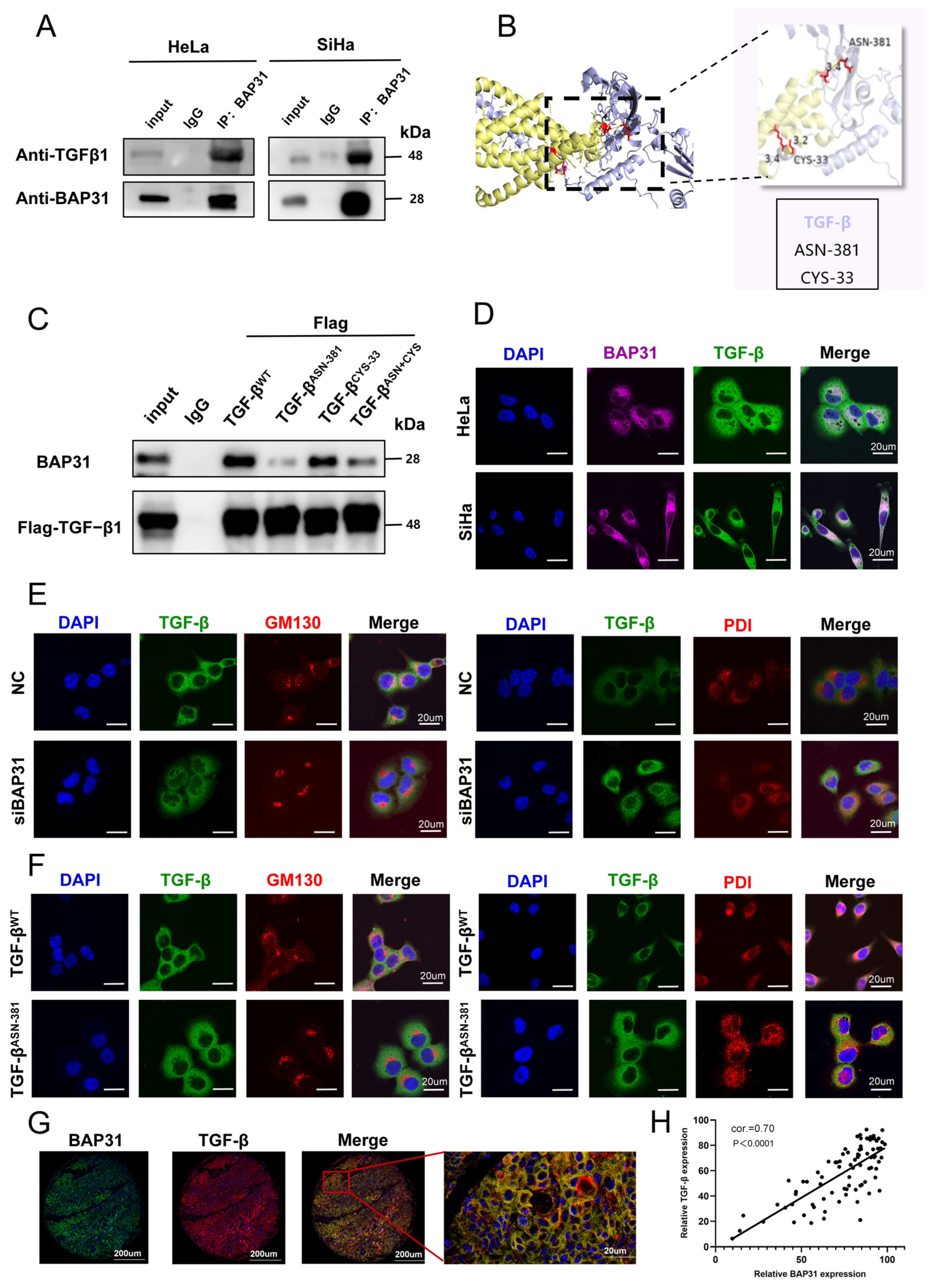 Cells 15 01765 g005