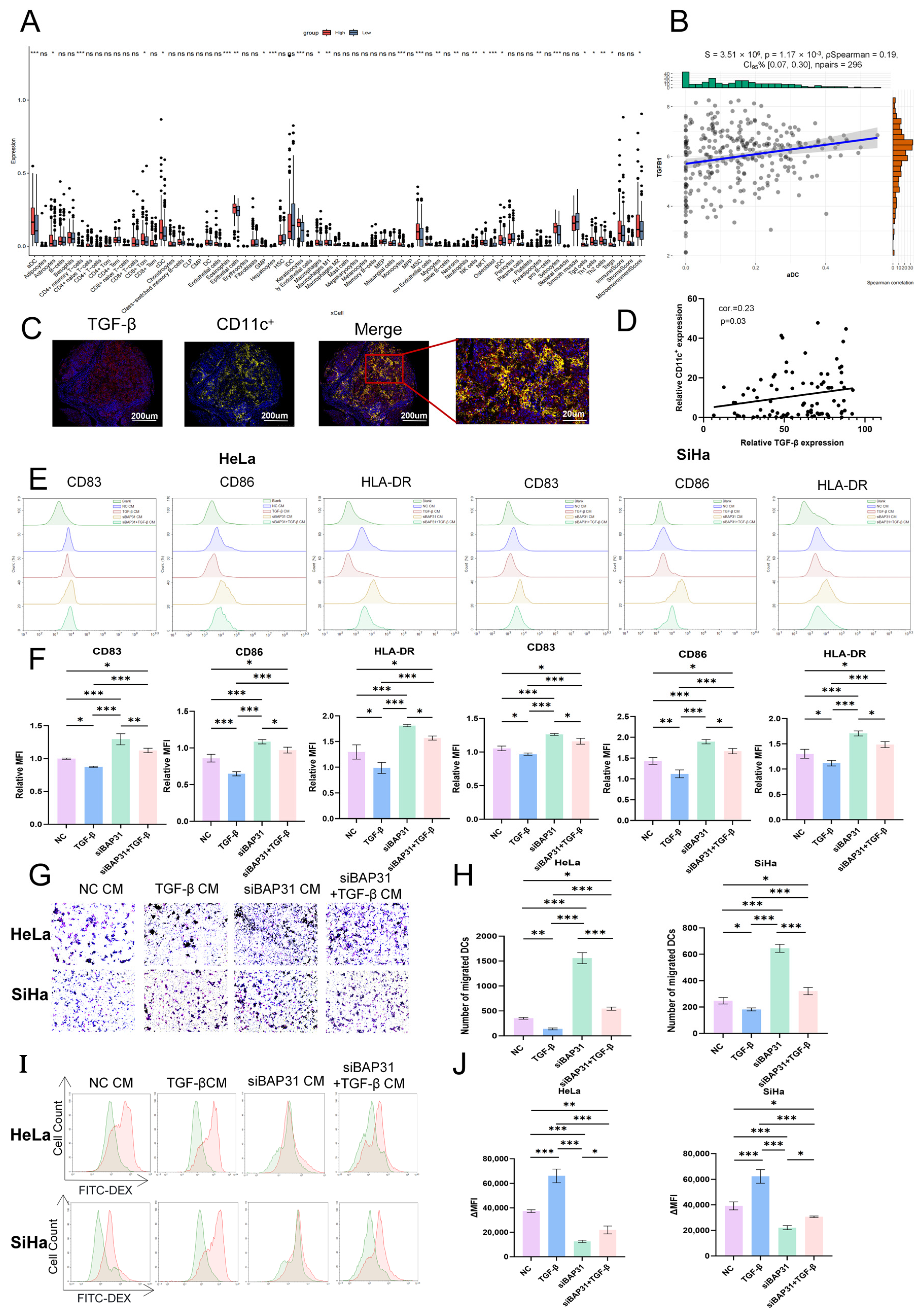 Cells 15 01765 g006