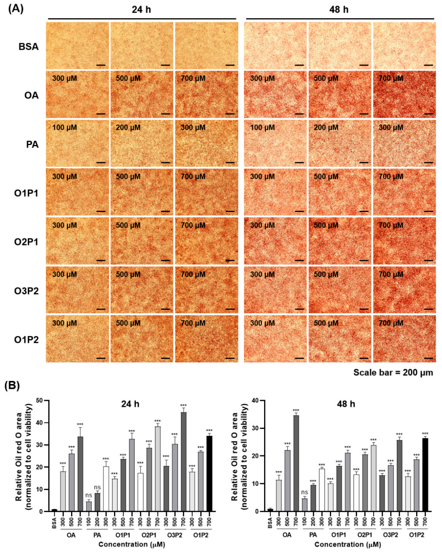 Cells 15 01774 g003 Cells 15 01774 g003