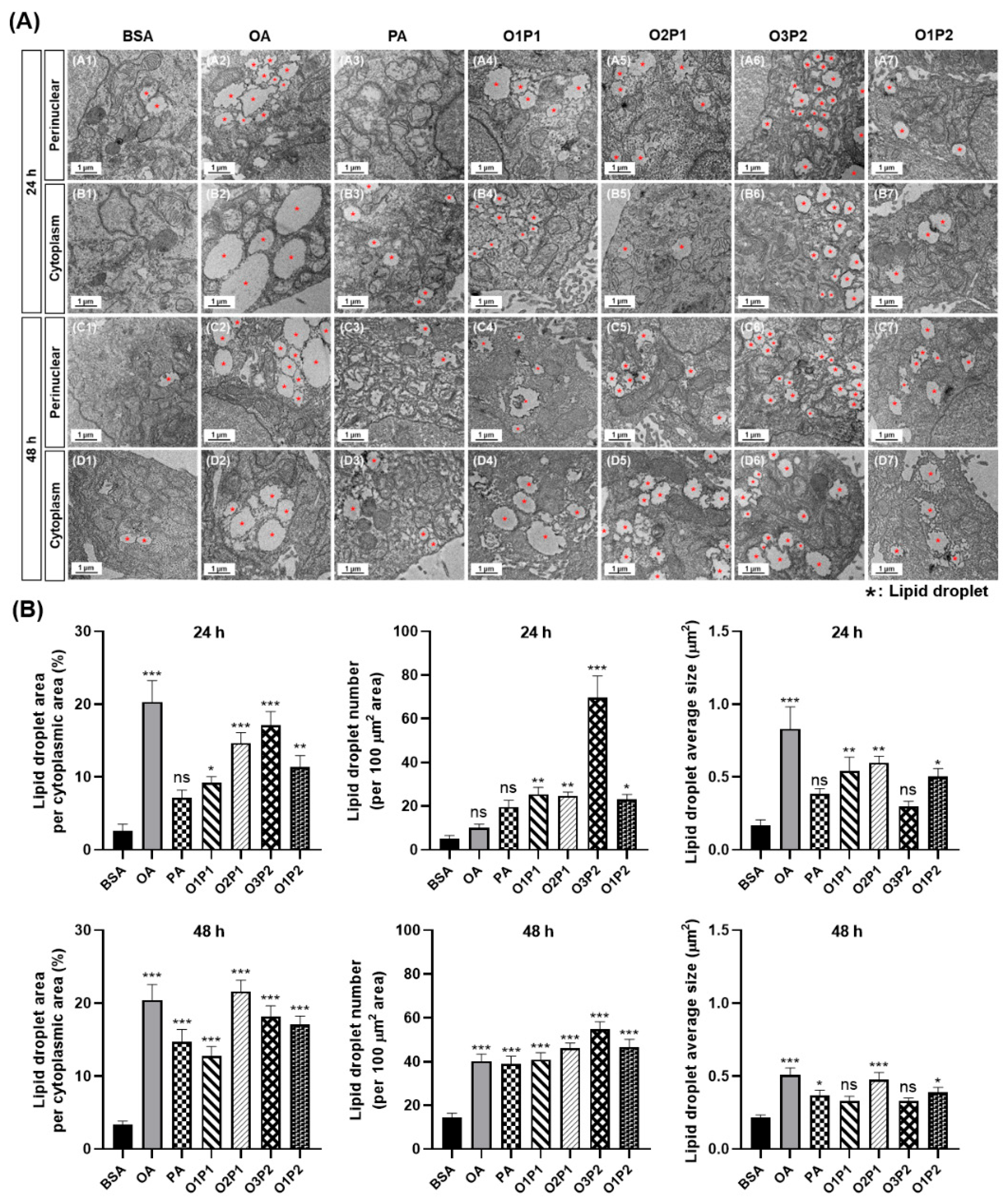 Cells 15 01774 g004 Cells 15 01774 g004