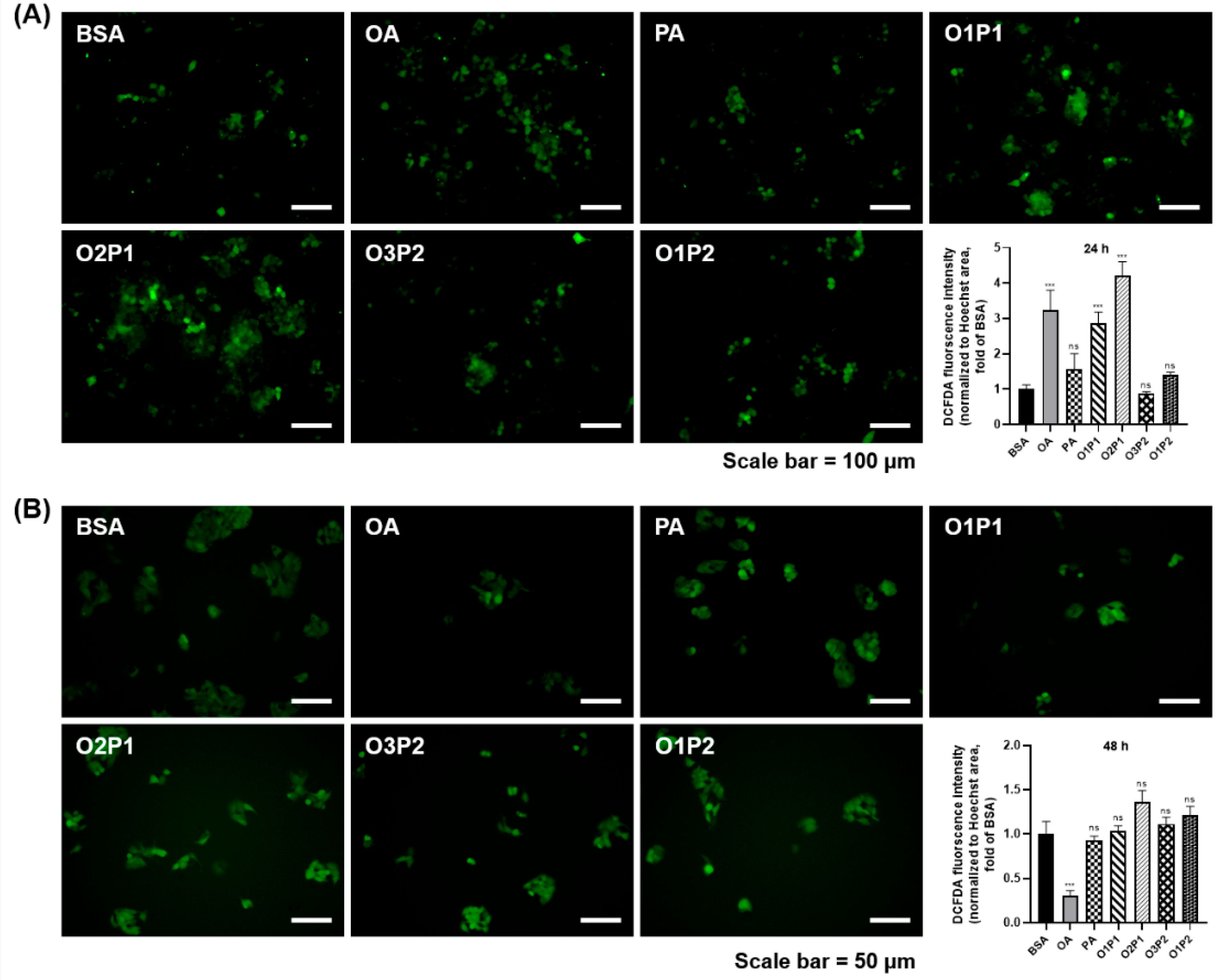Cells 15 01774 g005 Cells 15 01774 g005