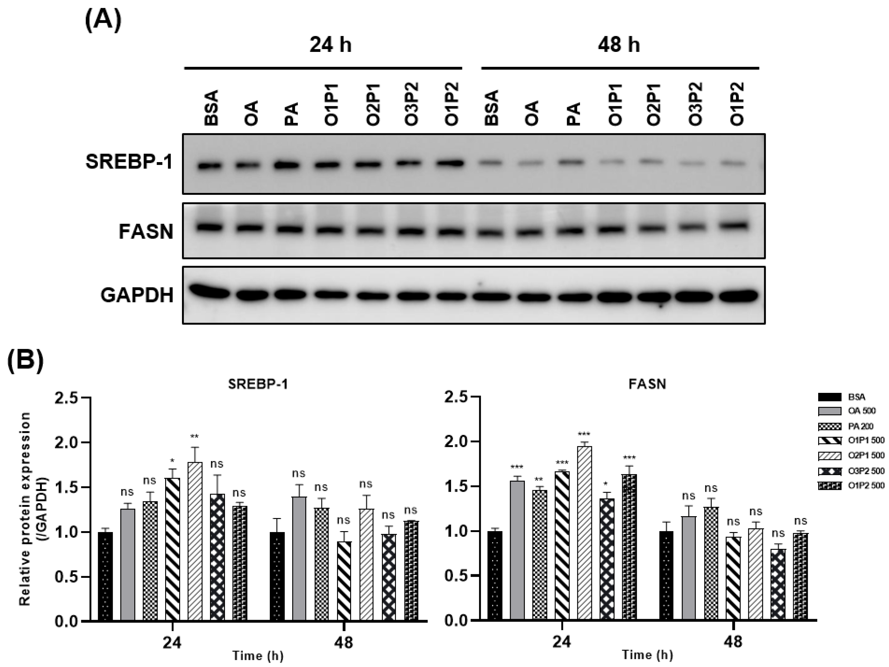 Cells 15 01774 g006 Cells 15 01774 g006