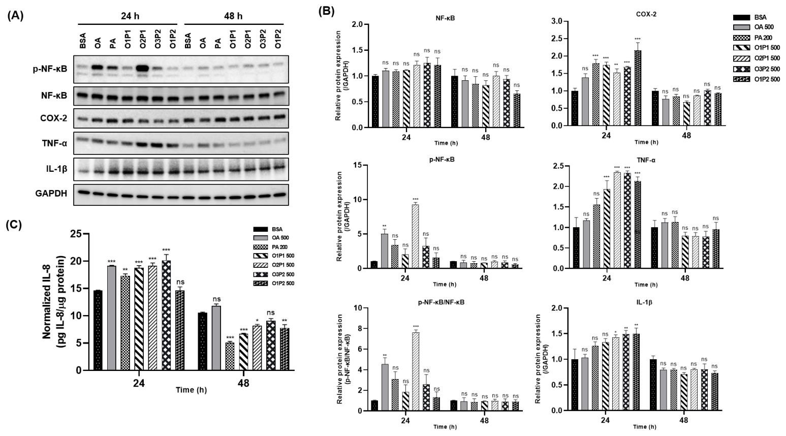 Cells 15 01774 g008 Cells 15 01774 g008