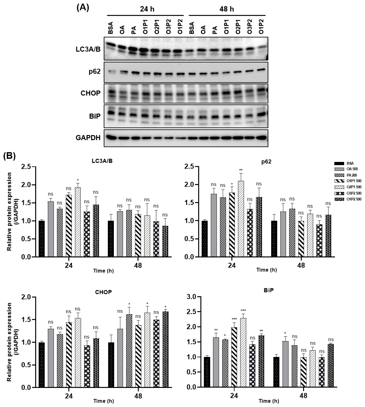 Cells 15 01774 g009 Cells 15 01774 g009