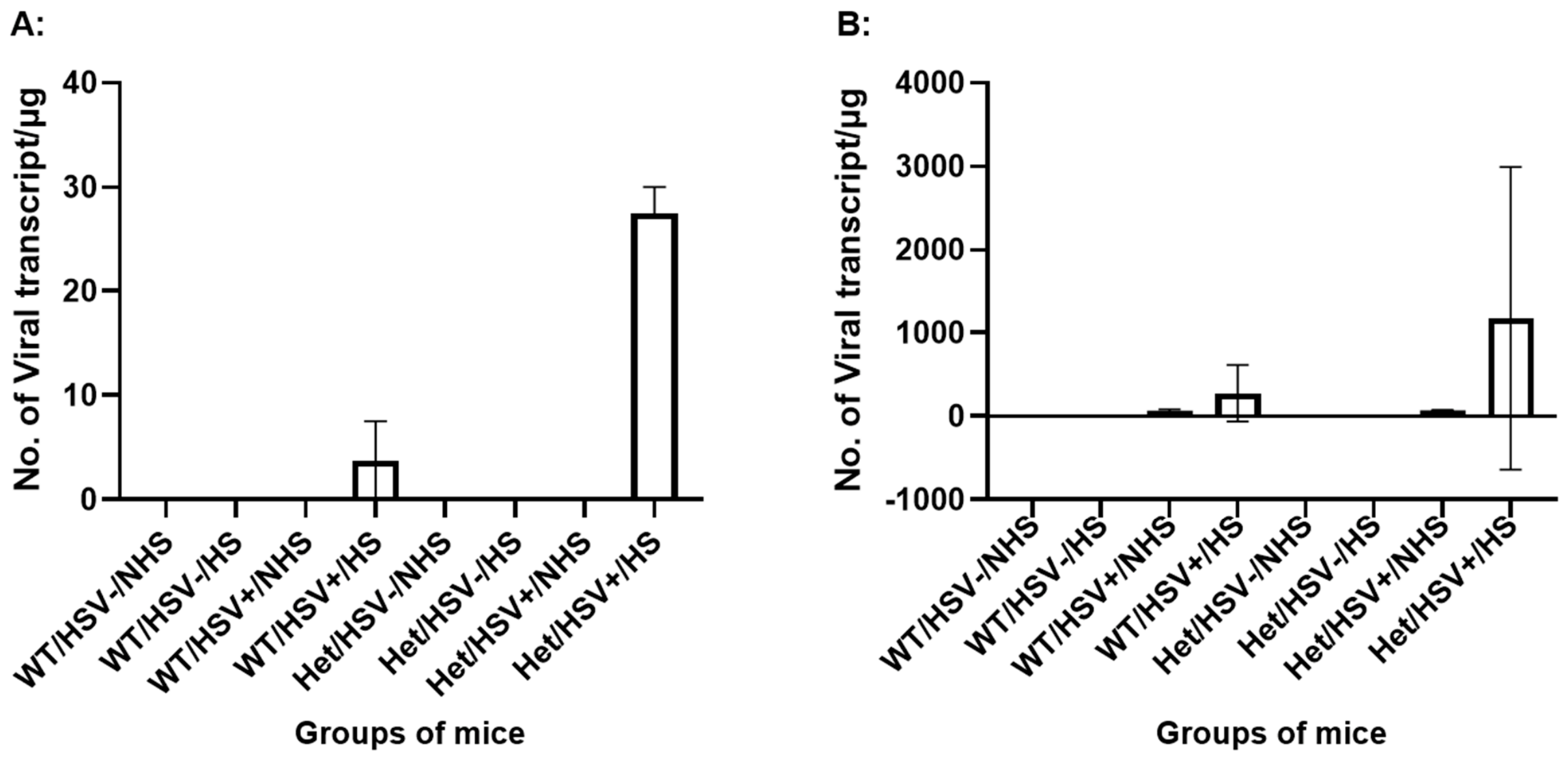 Cells 15 01841 g002 Cells 15 01841 g002